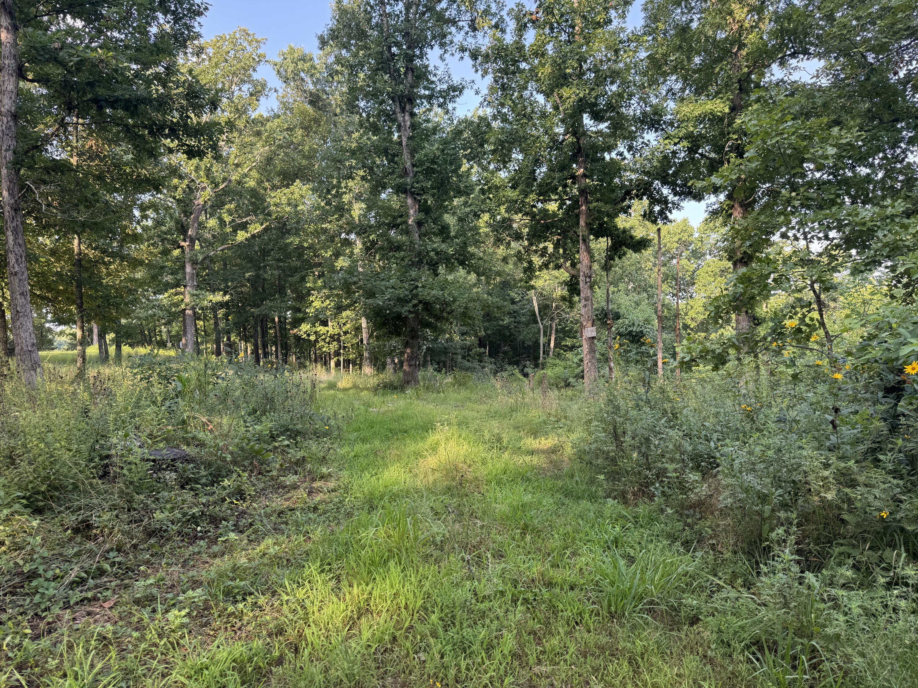 19301 State Highway N Property Photo 13