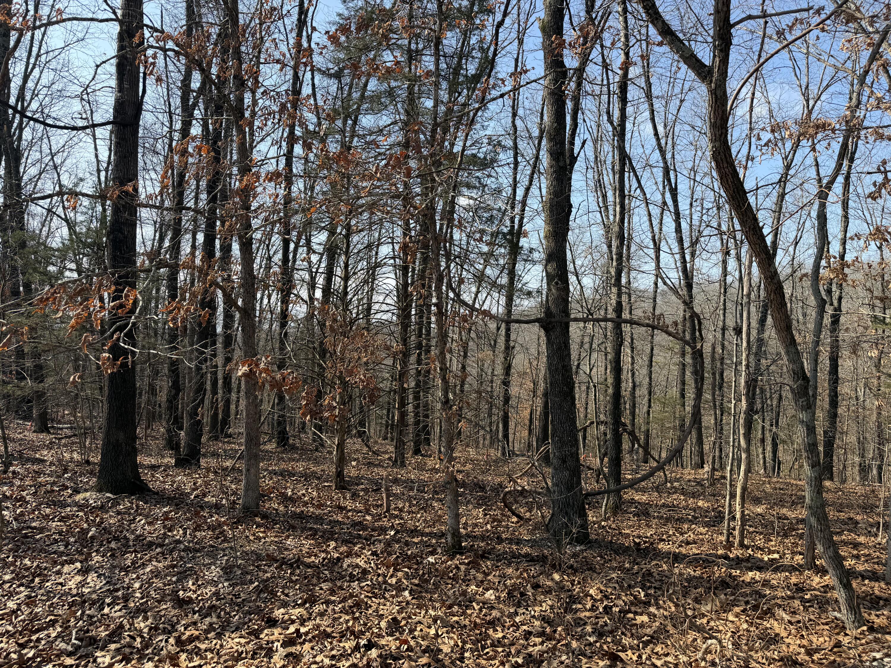 Lot 112 Walnut Springs Drive Property Photo 1
