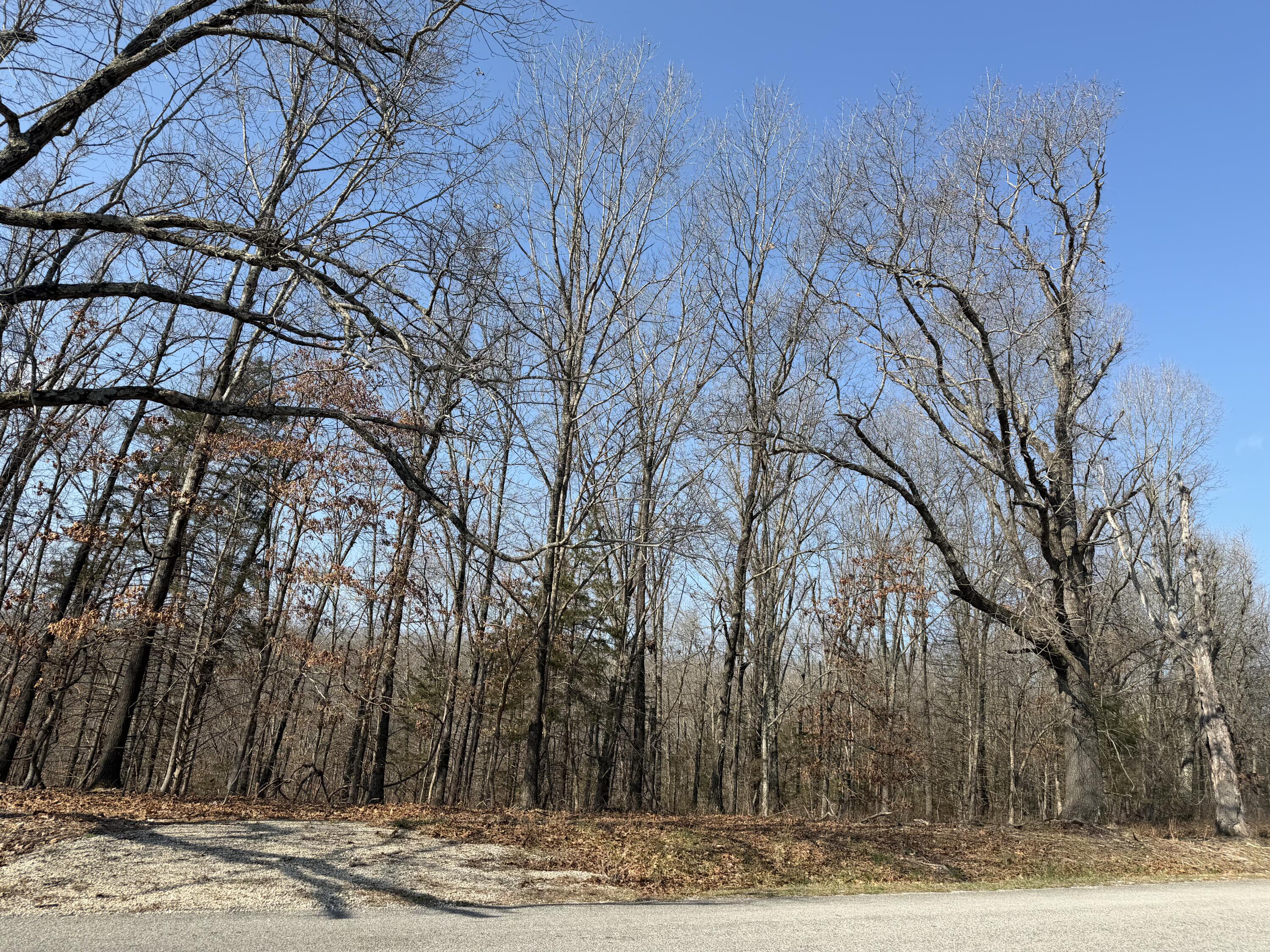 Lot 112 Walnut Springs Drive Property Photo 2