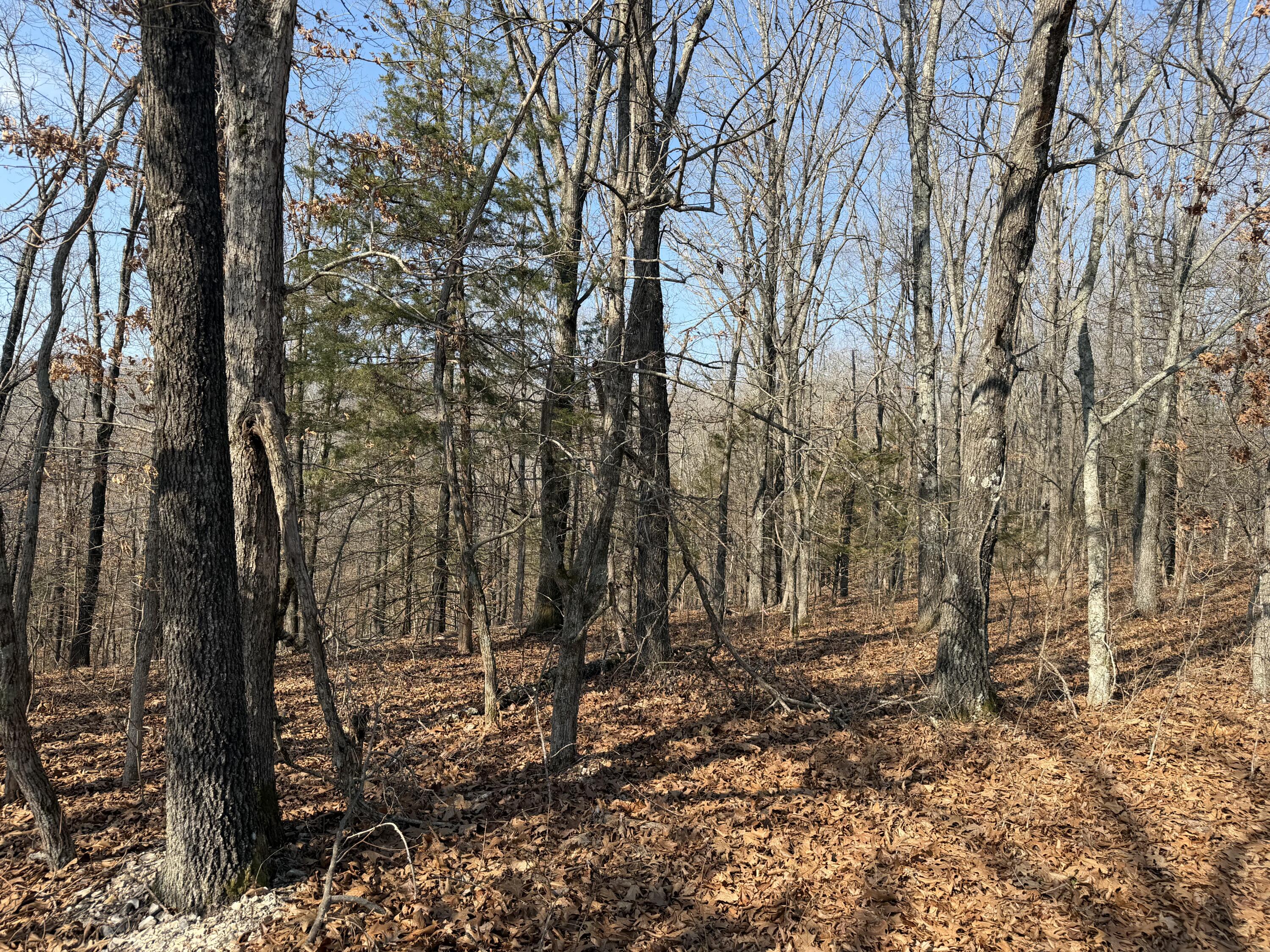 Lot 112 Walnut Springs Drive Property Photo 4