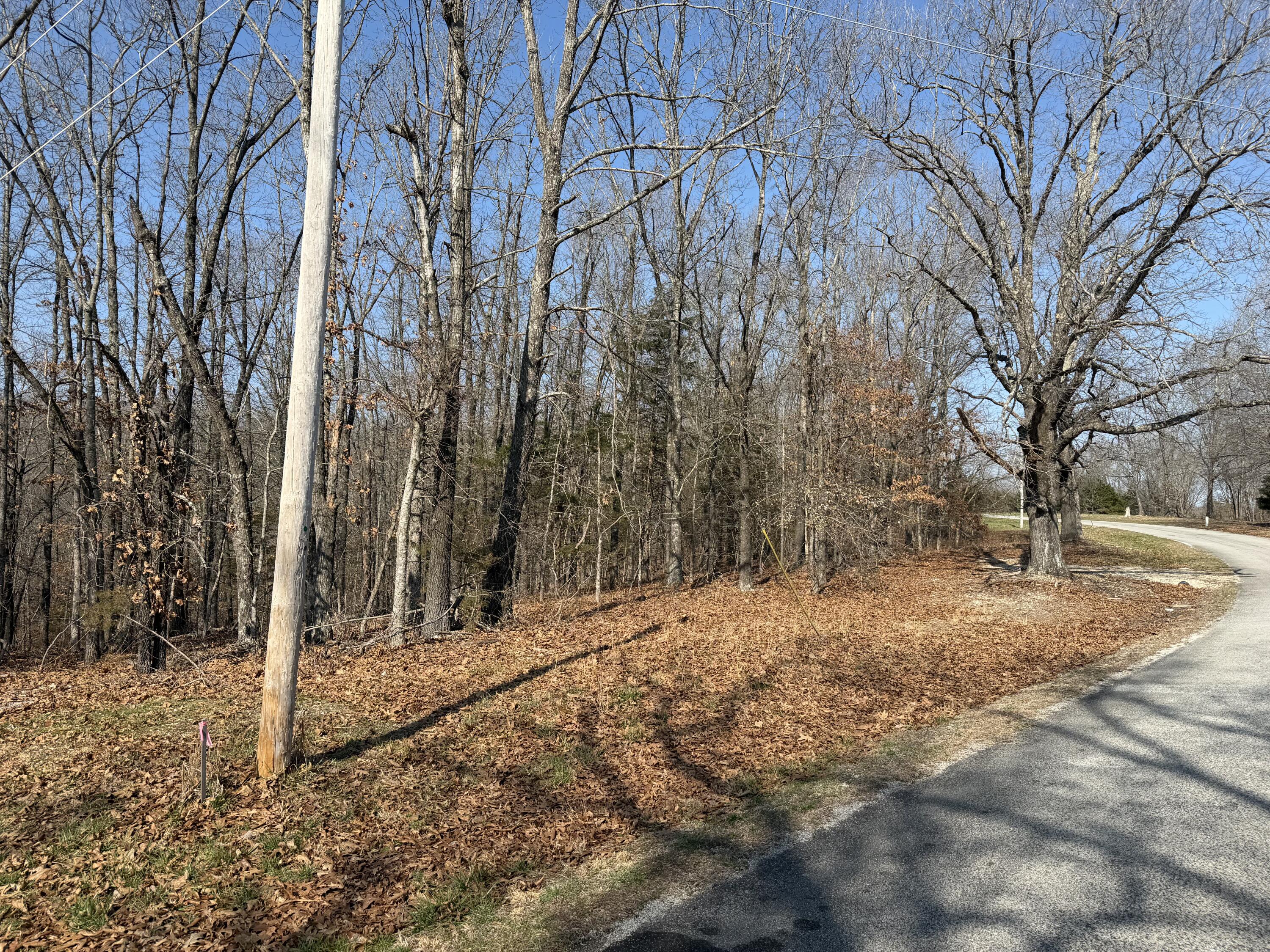 Lot 112 Walnut Springs Drive Property Photo 5