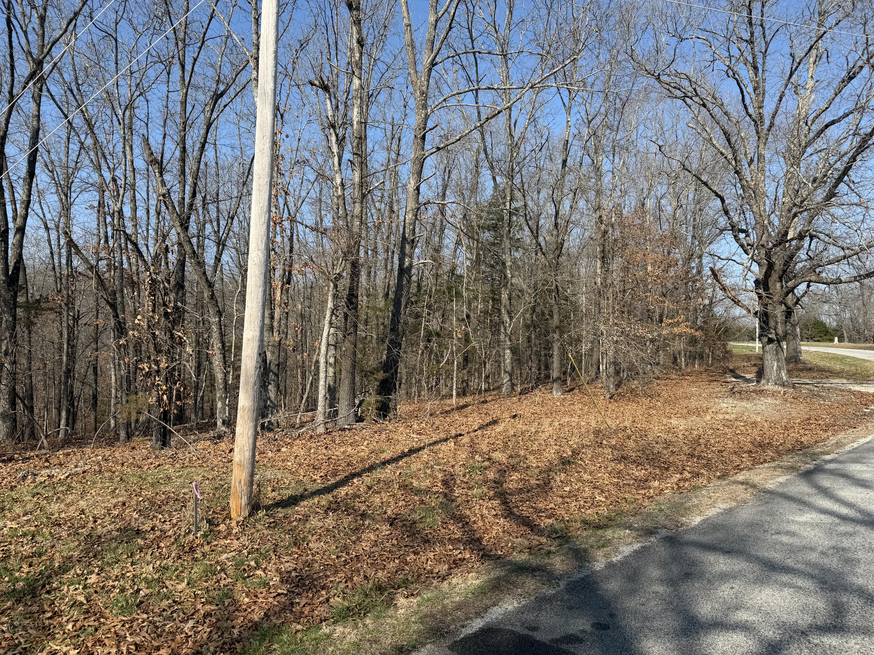 Lot 112 Walnut Springs Drive Property Photo 6