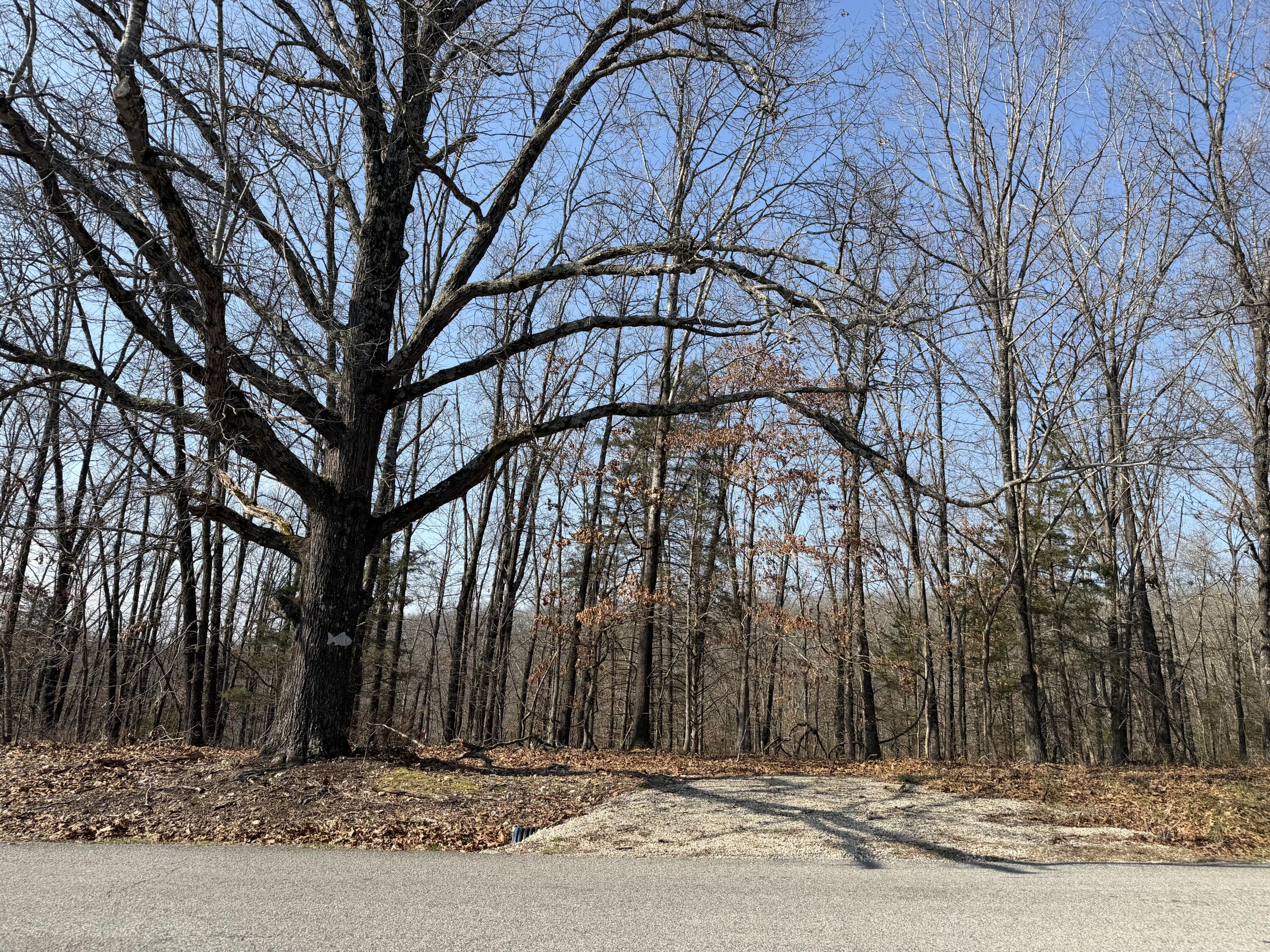 Lot 112 Walnut Springs Drive Property Photo 7