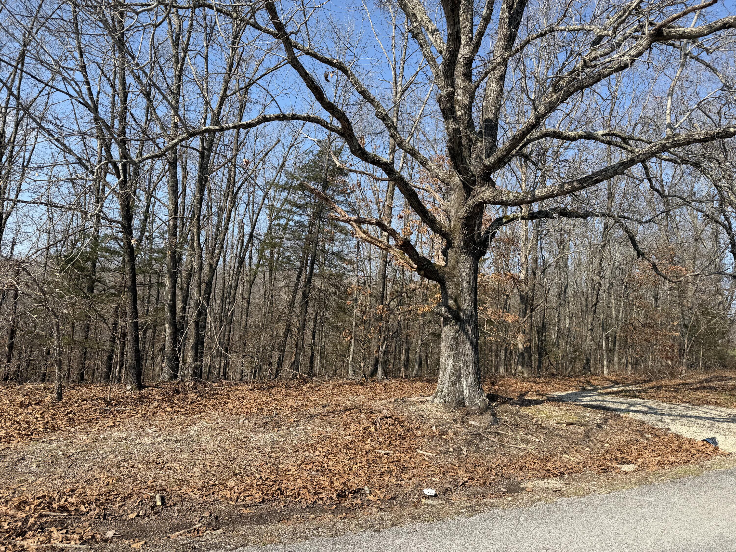 Lot 112 Walnut Springs Drive Property Photo 8