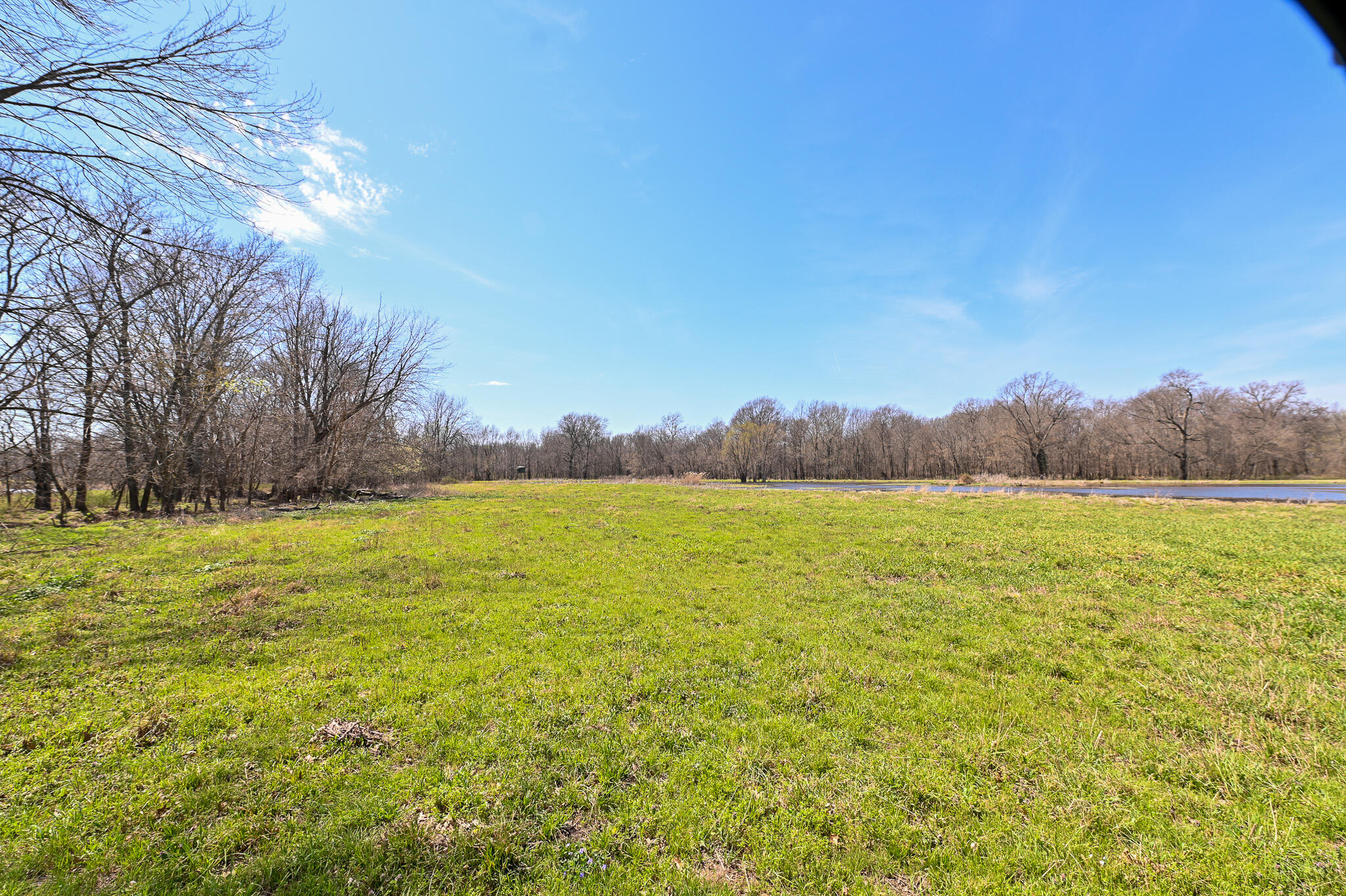304 Reavley Drive Property Photo 35