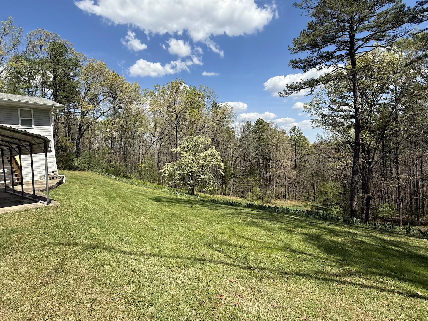 15250 Wild Cherry Lane Property Photo 4