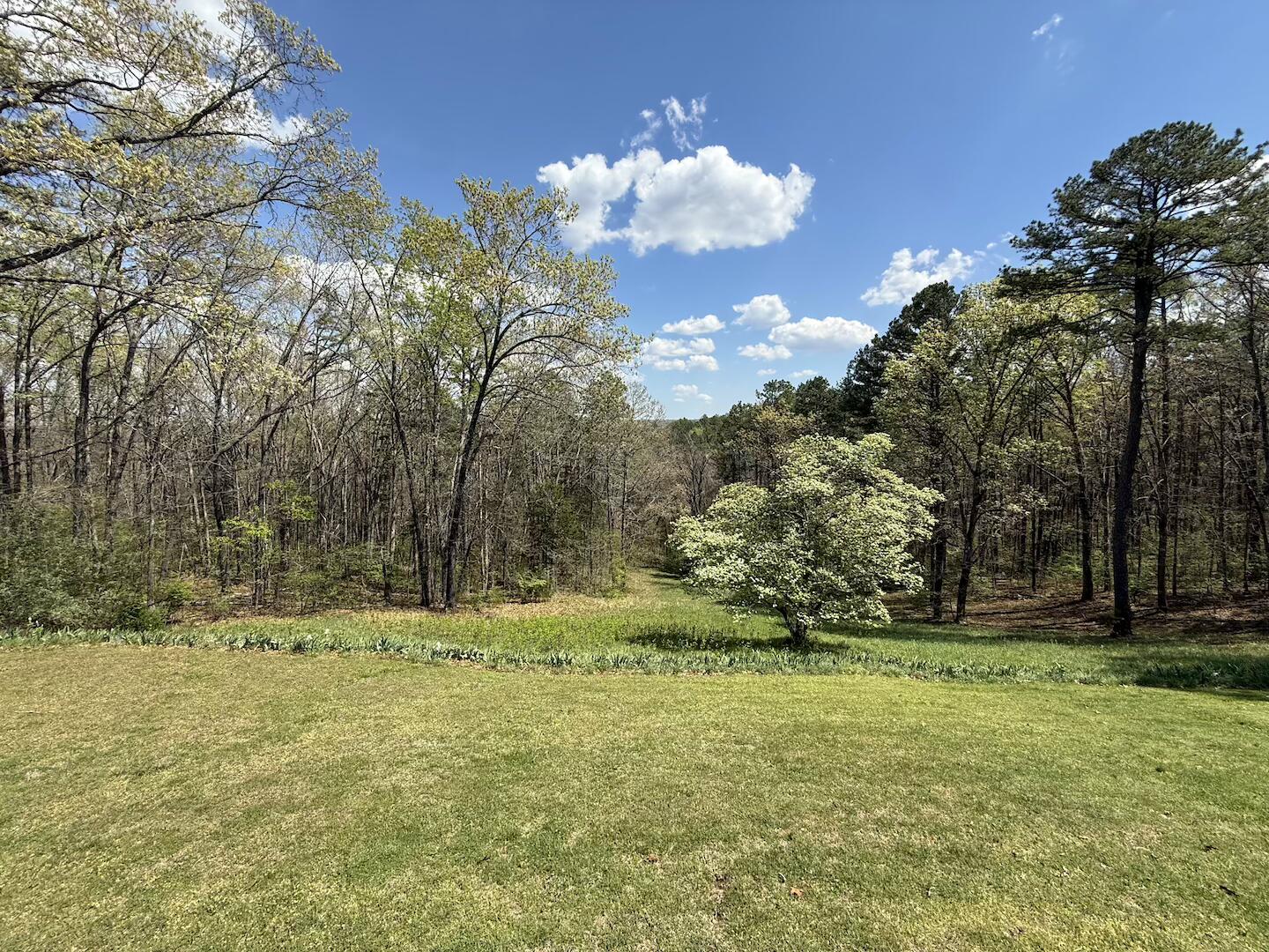 15250 Wild Cherry Lane Property Photo 12