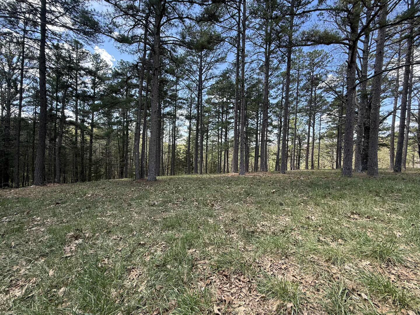15250 Wild Cherry Lane Property Photo 39