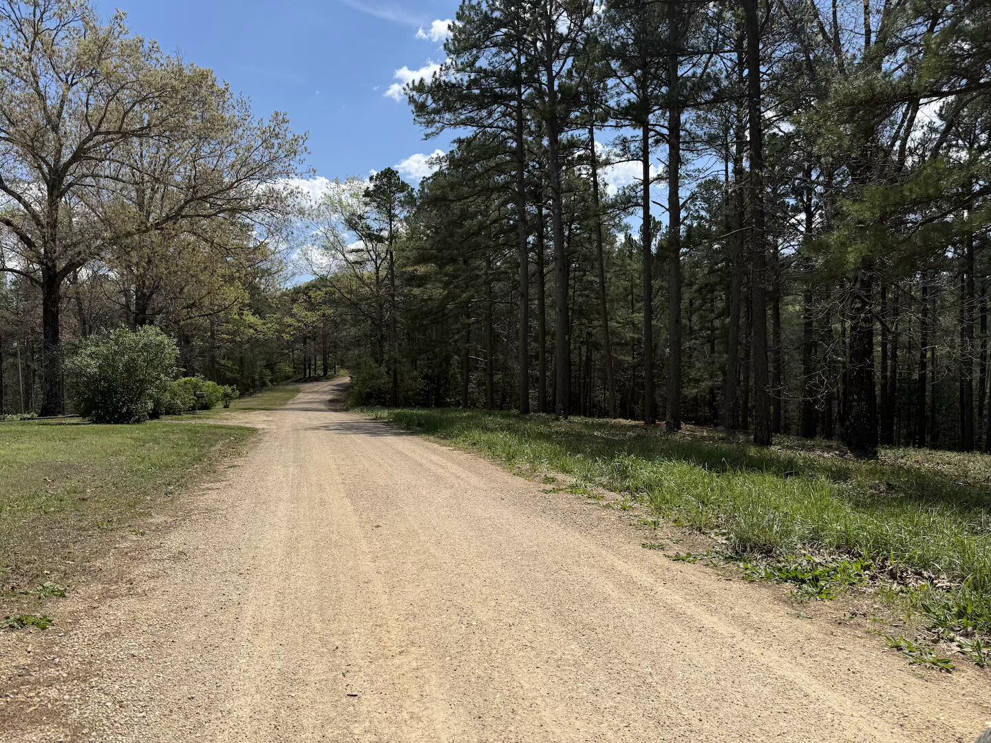 15250 Wild Cherry Lane Property Photo 42