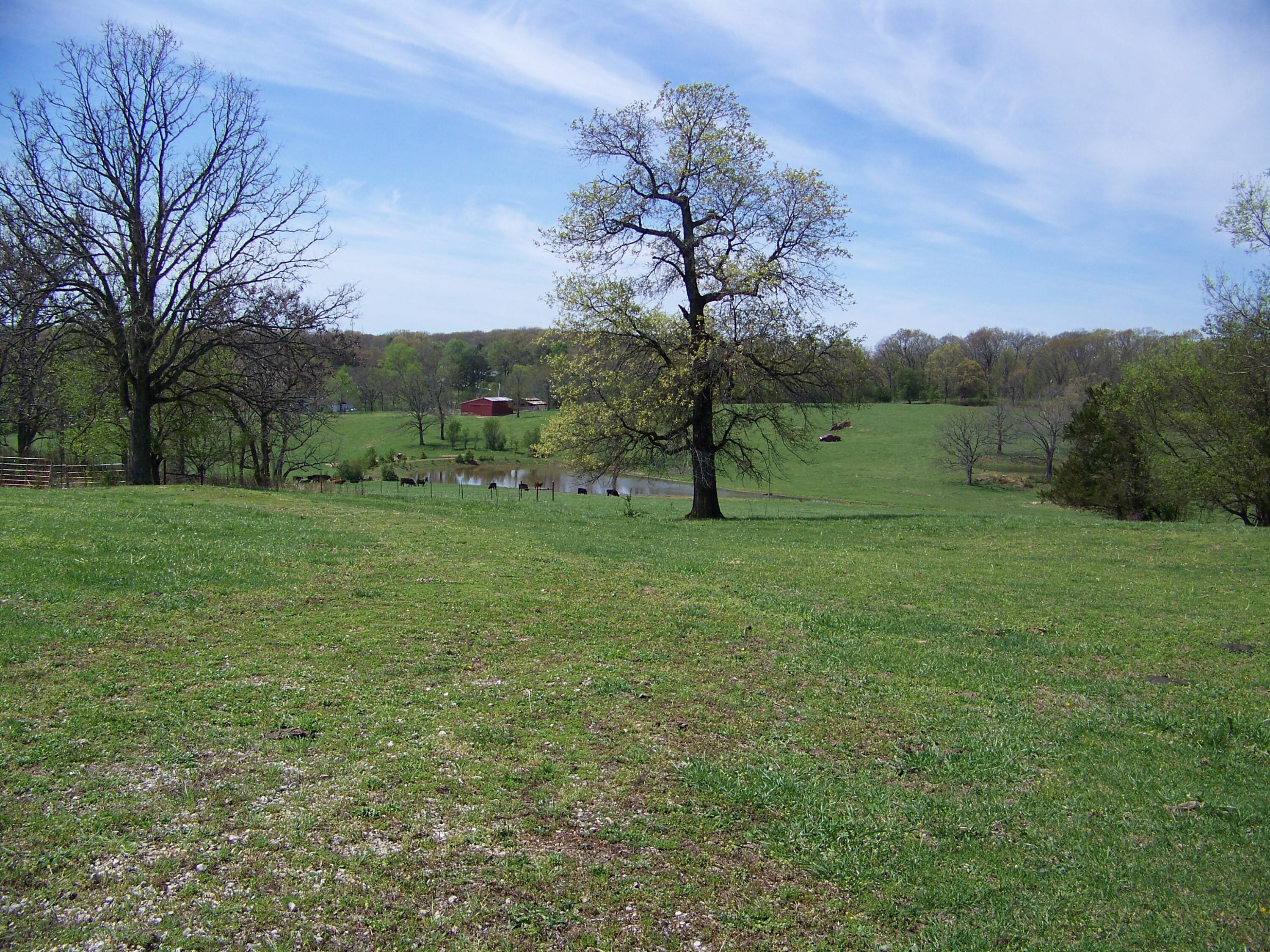 000 County Road 8040 Property Photo 17