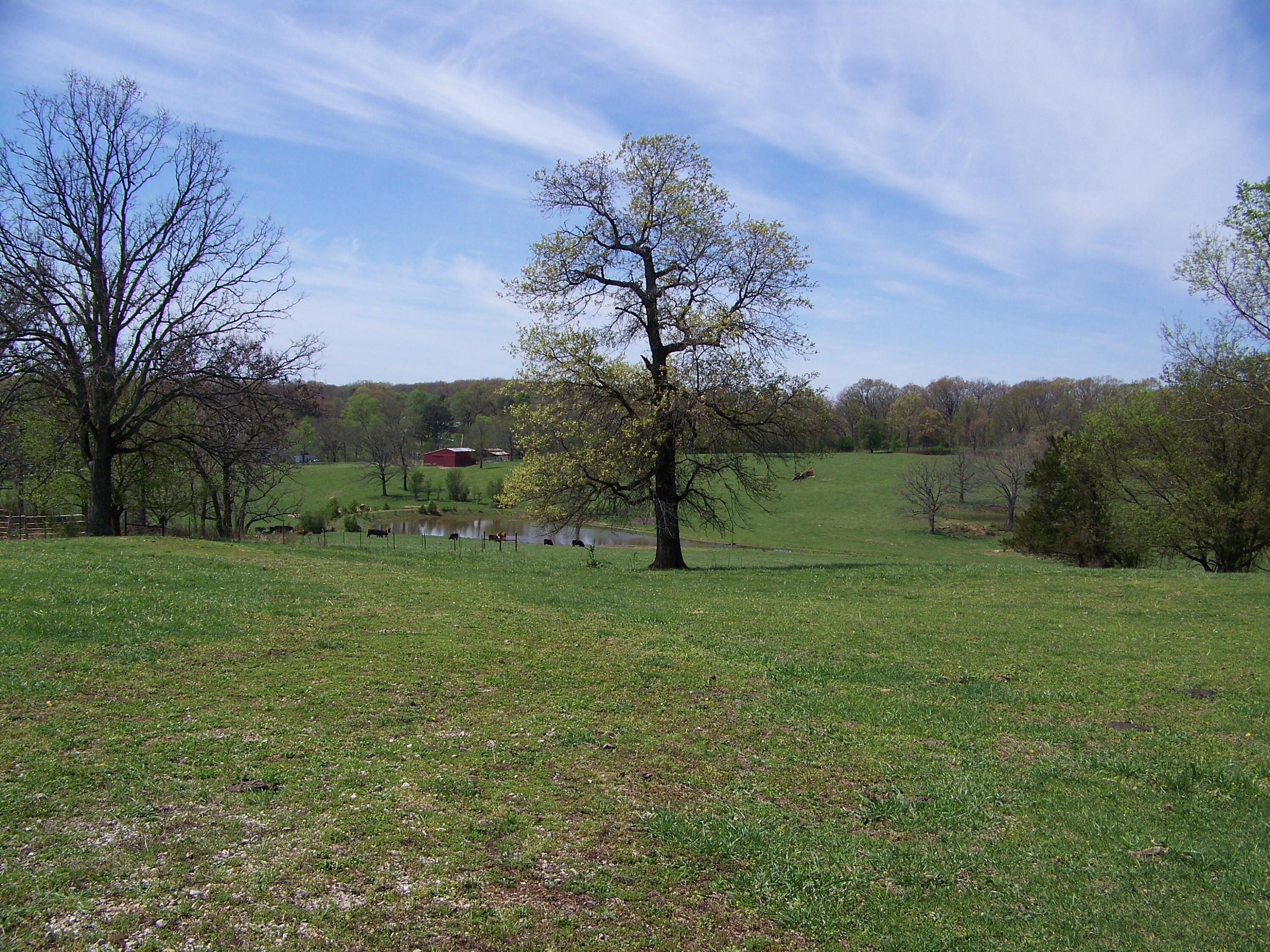 000 County Road 8040 Property Photo 18