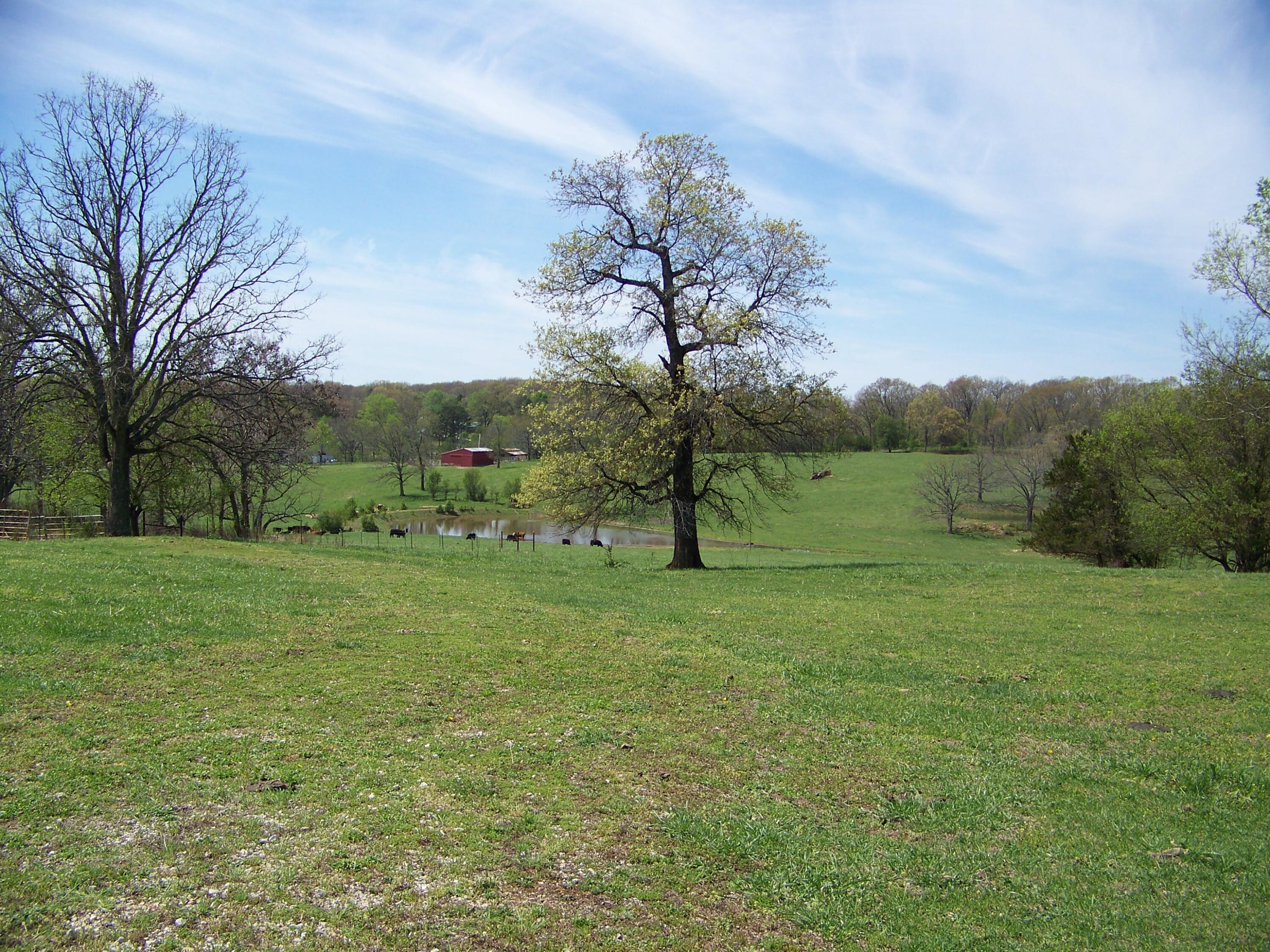 000 County Road 8040 Property Photo 19