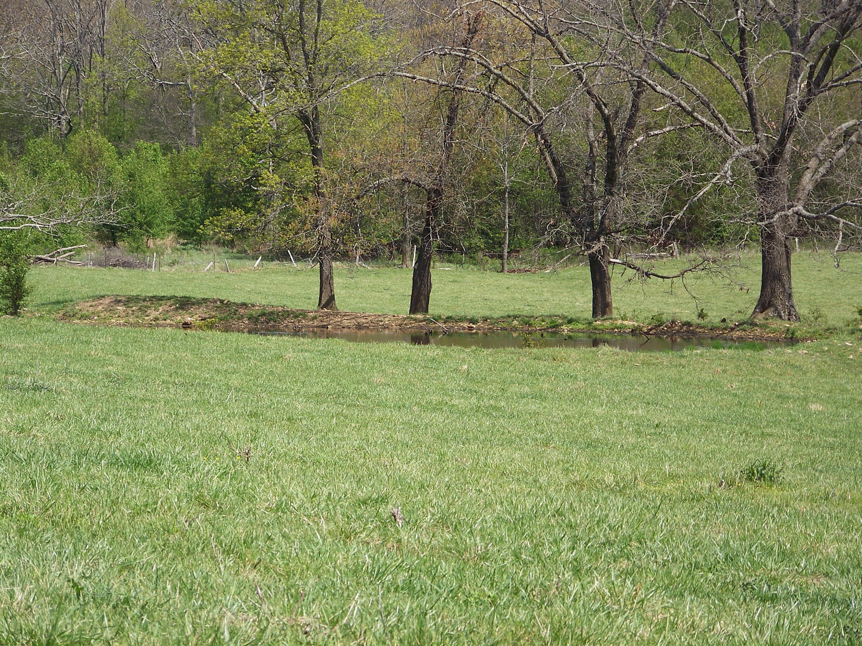 000 County Road 8040 Property Photo 25