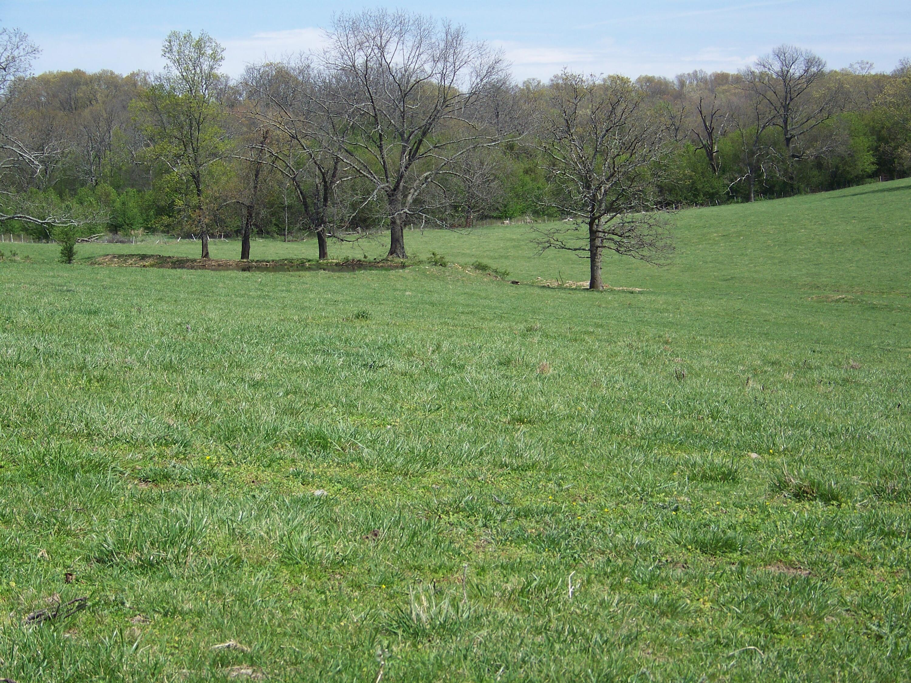 000 County Road 8040 Property Photo 26