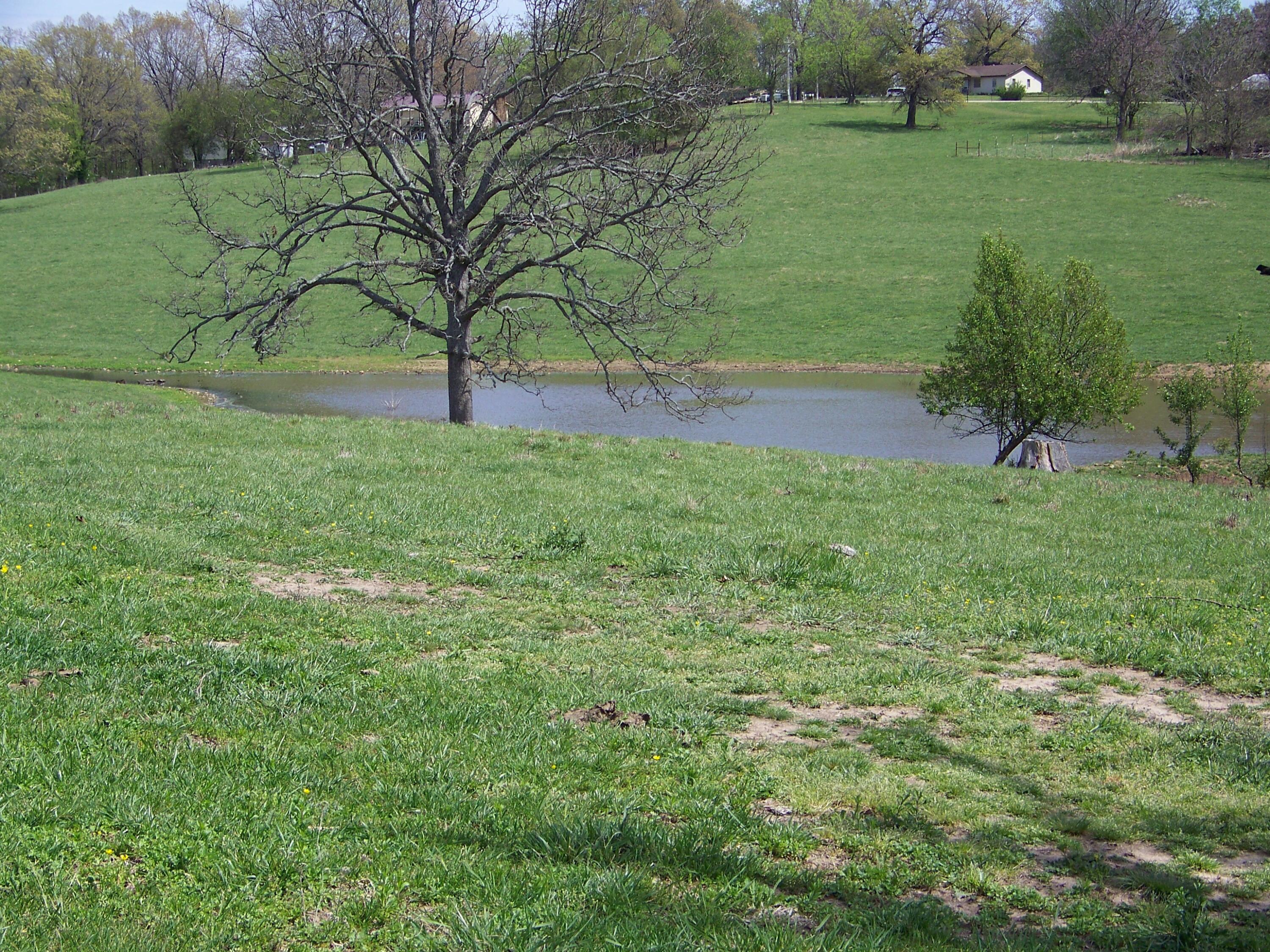 000 County Road 8040 Property Photo 27
