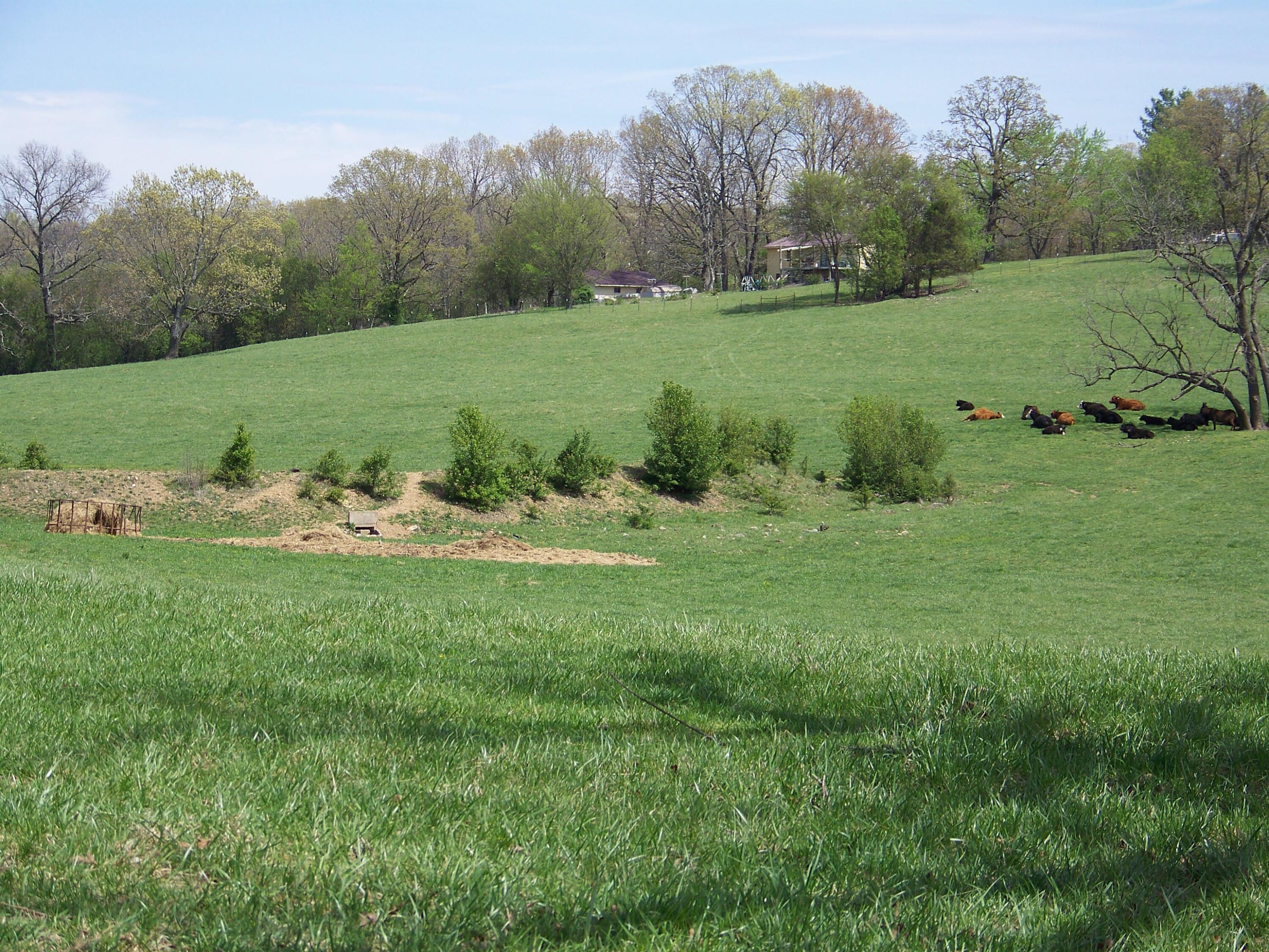 000 County Road 8040 Property Photo 29