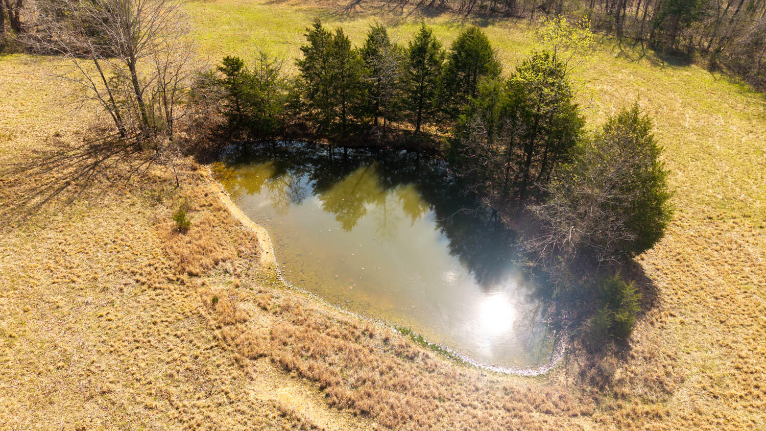 1079 Ff Highway Property Photo 68