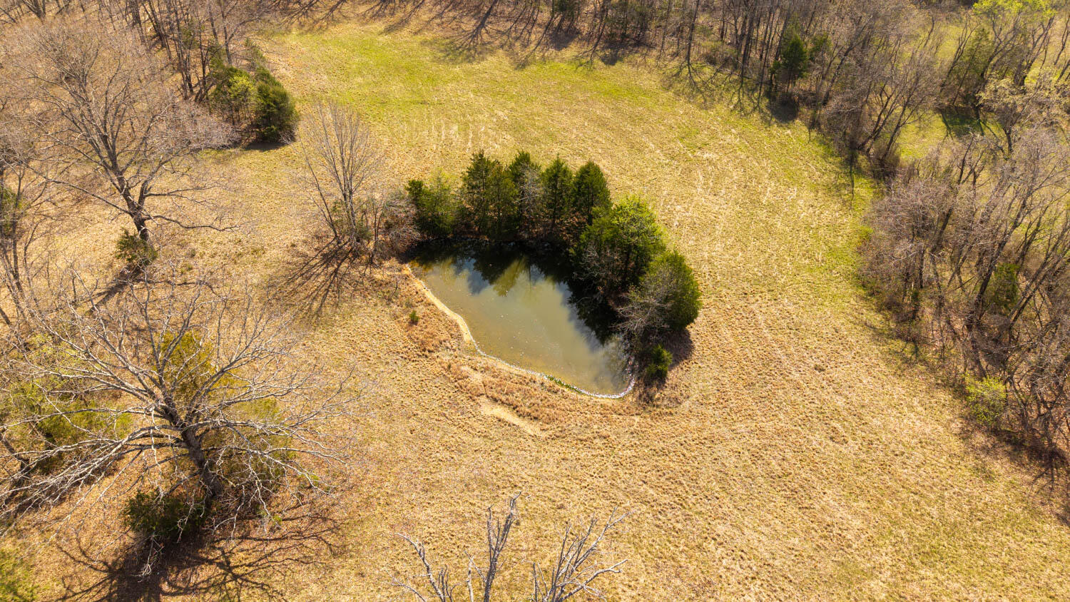 1079 Ff Highway Property Photo 69