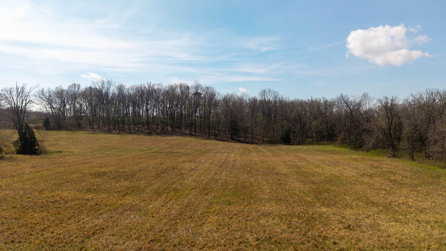 1079 Ff Highway Property Photo 84