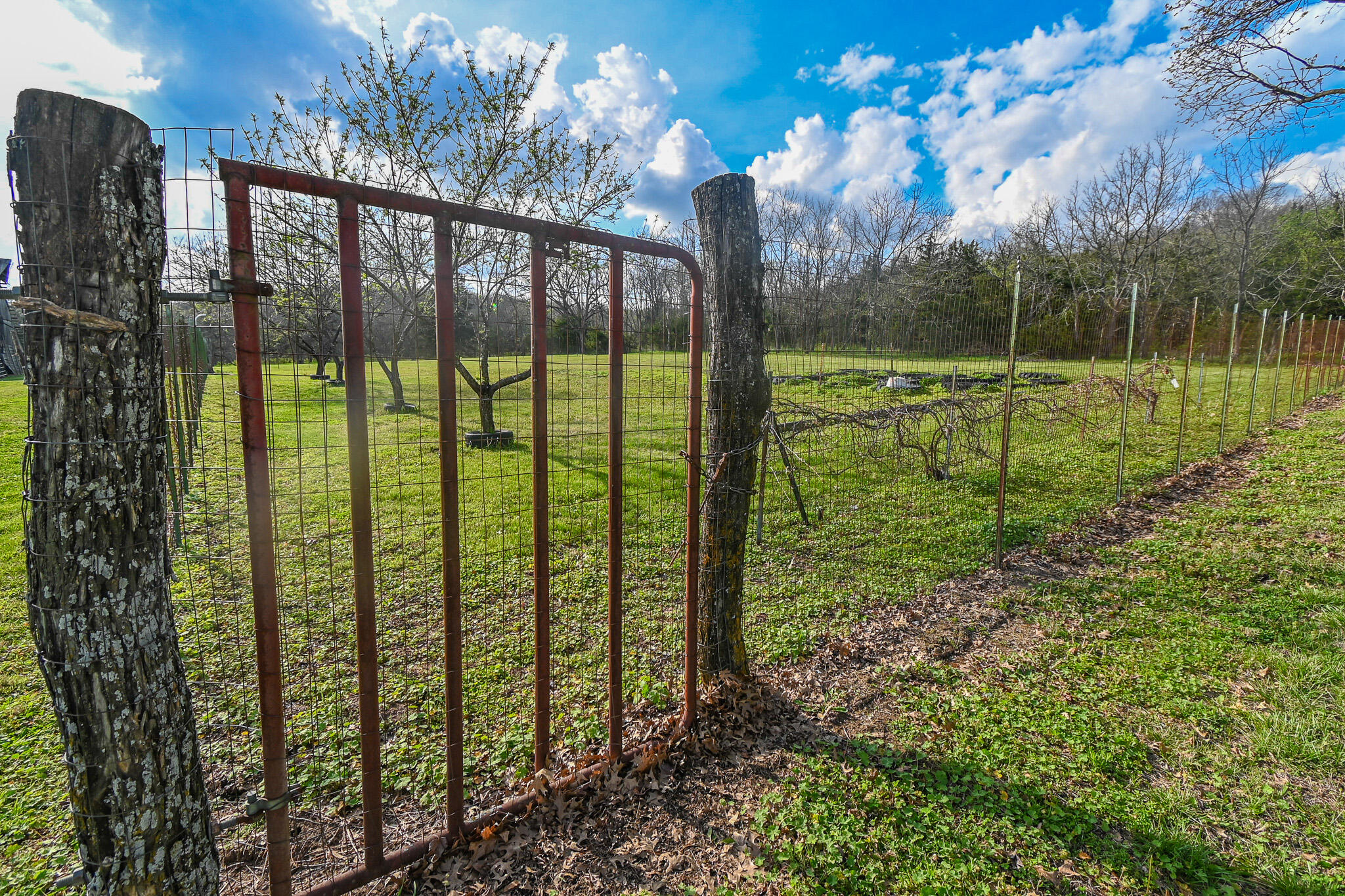 5855 Southeast 981 Pvt Rd Road Property Photo 49