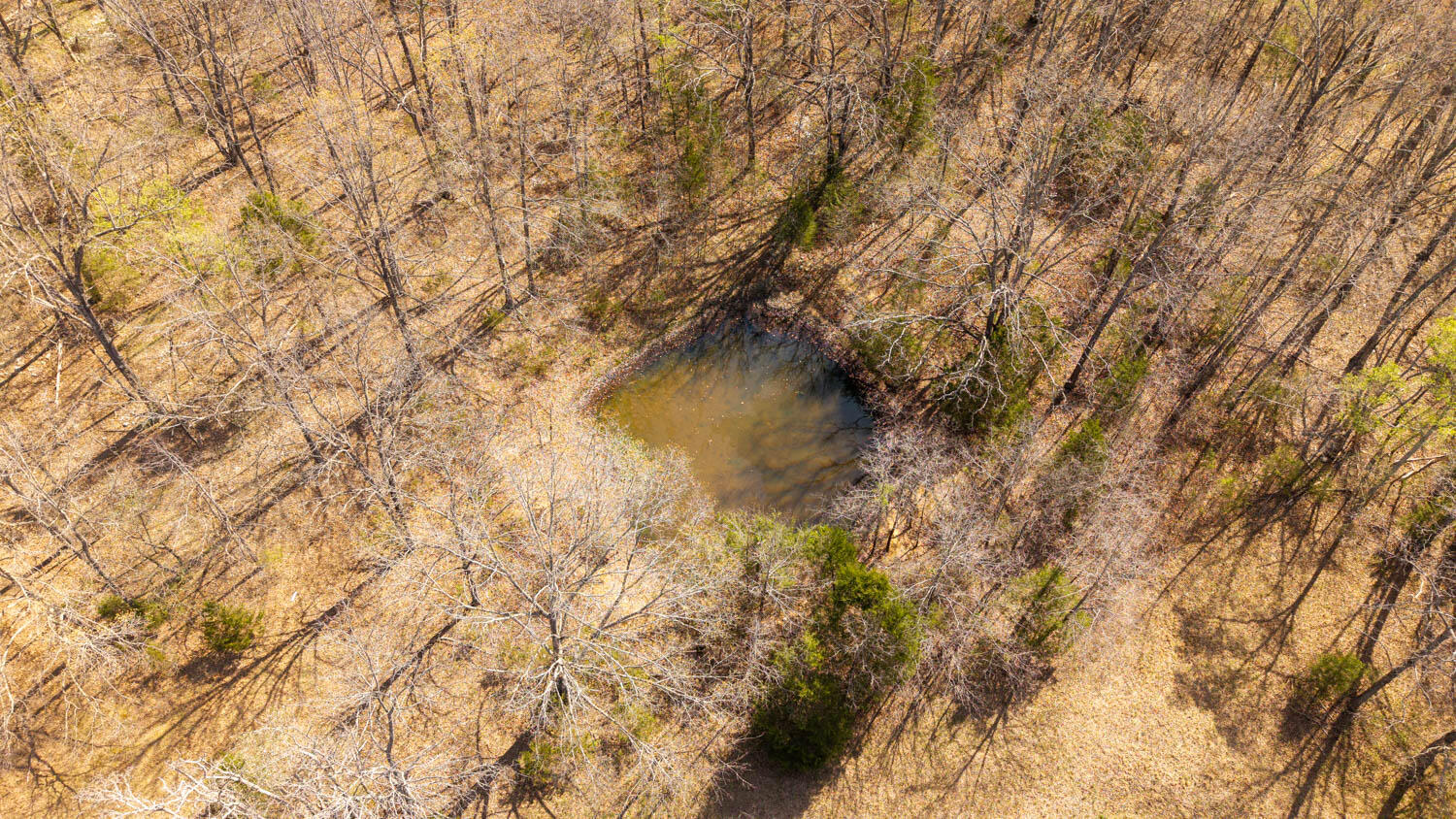 1079 Ff Highway Property Photo 81