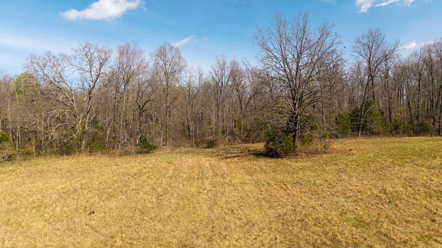1079 Ff Highway Property Photo 87