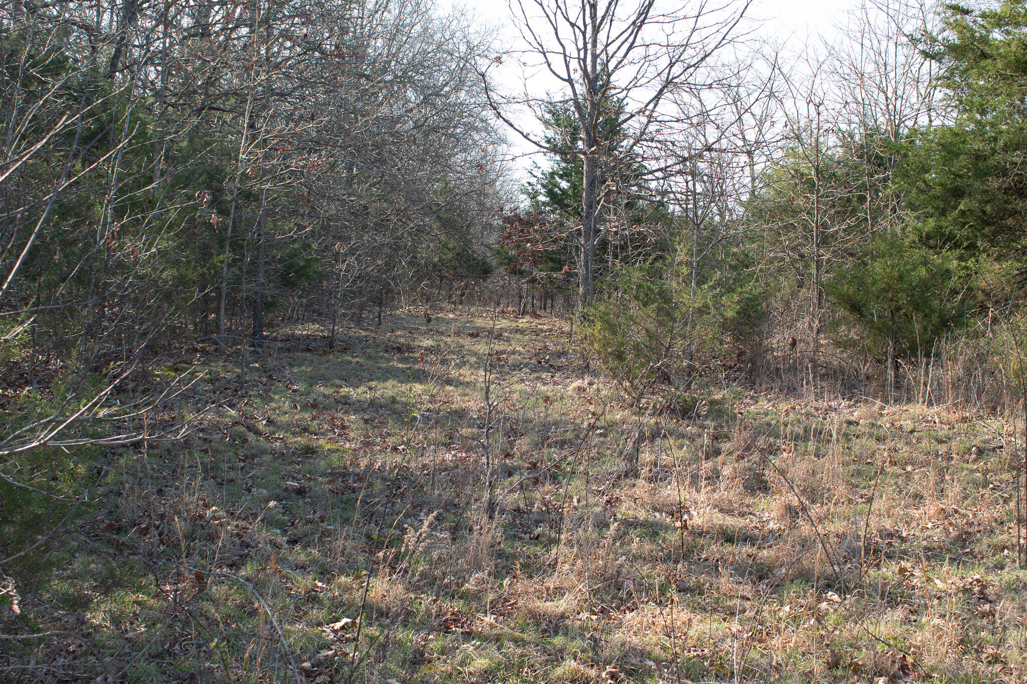 000 Sapphire Drive Property Photo 6