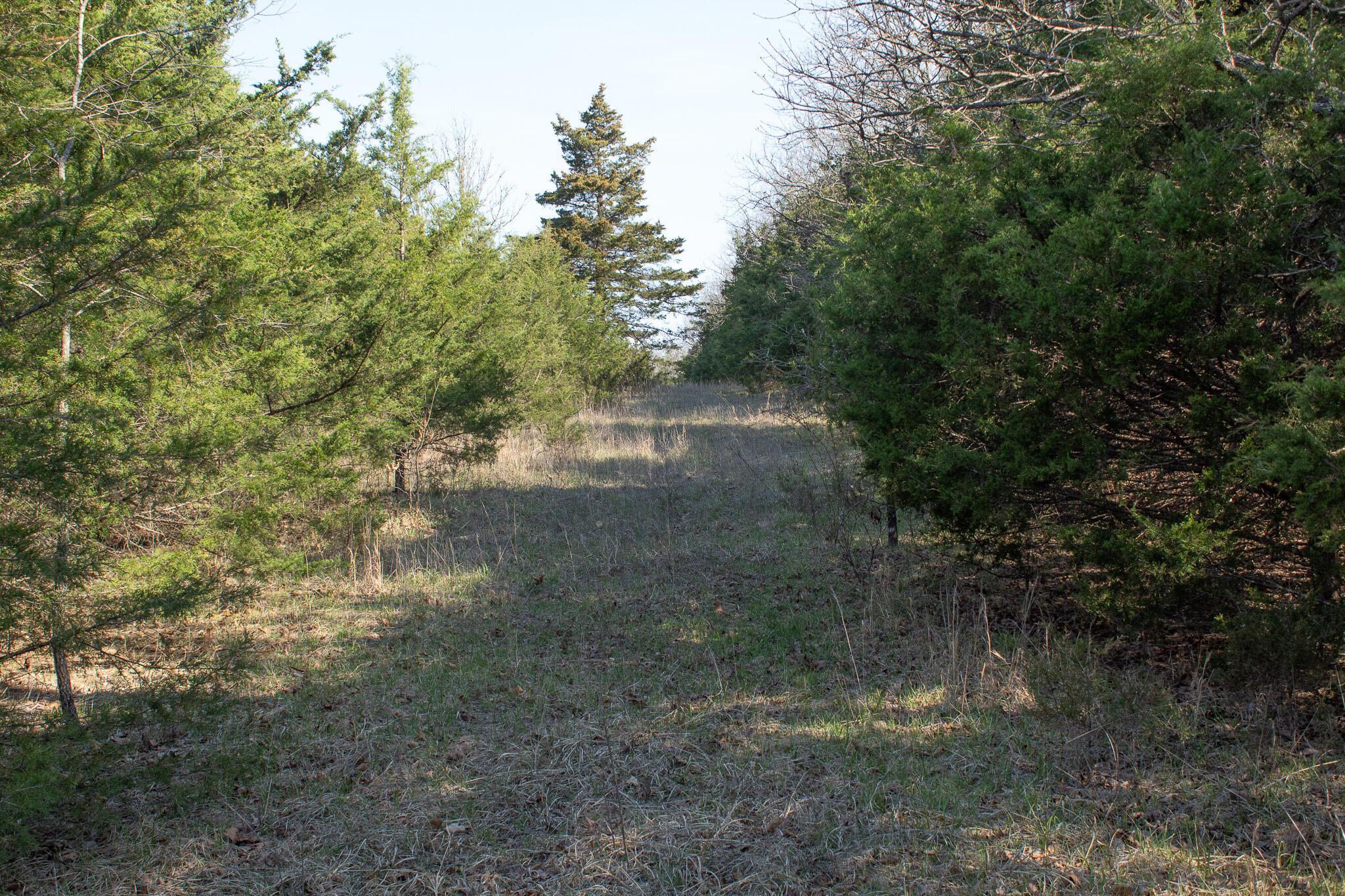 000 Sapphire Drive Property Photo 11