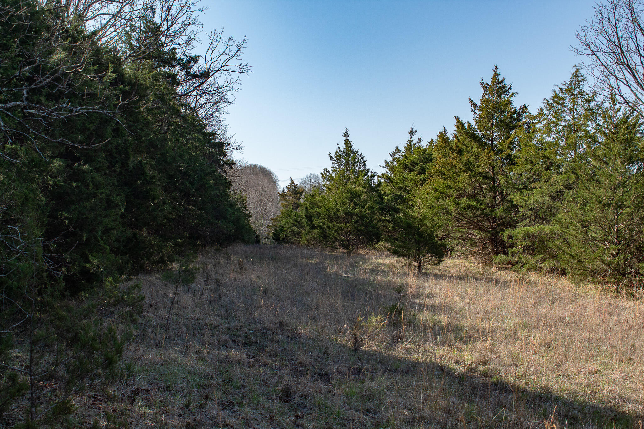 000 Sapphire Drive Property Photo 18
