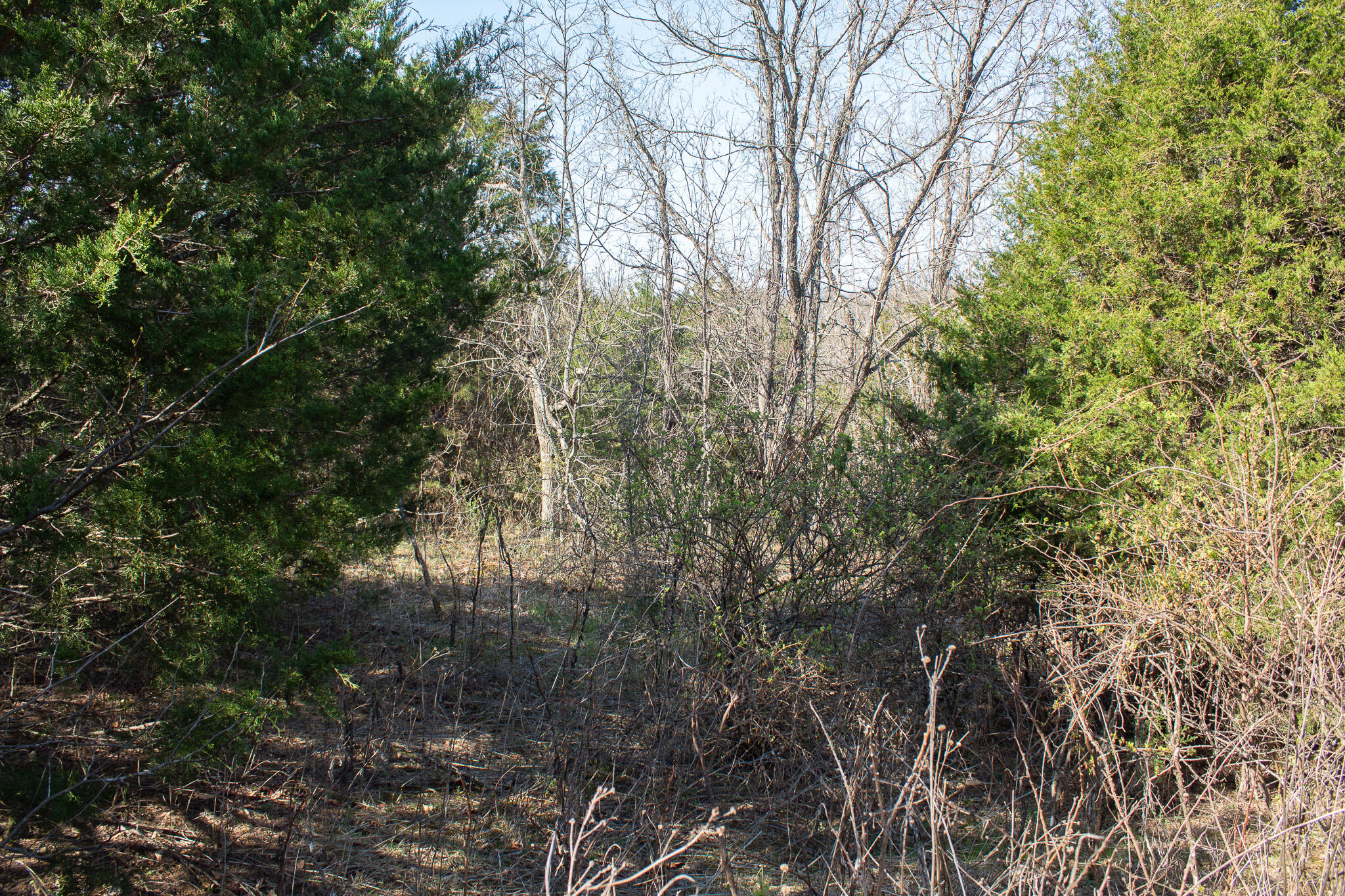 000 Sapphire Drive Property Photo 19
