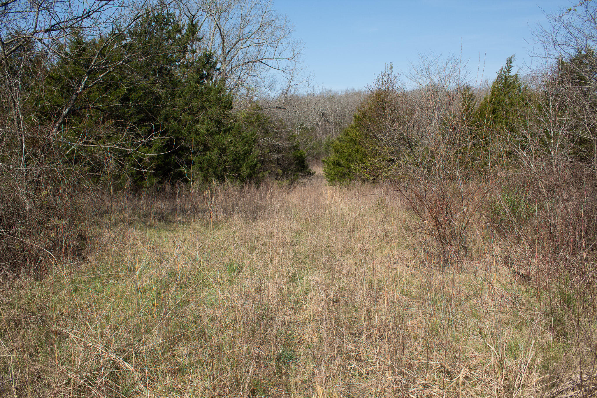 000 Sapphire Drive Property Photo 22
