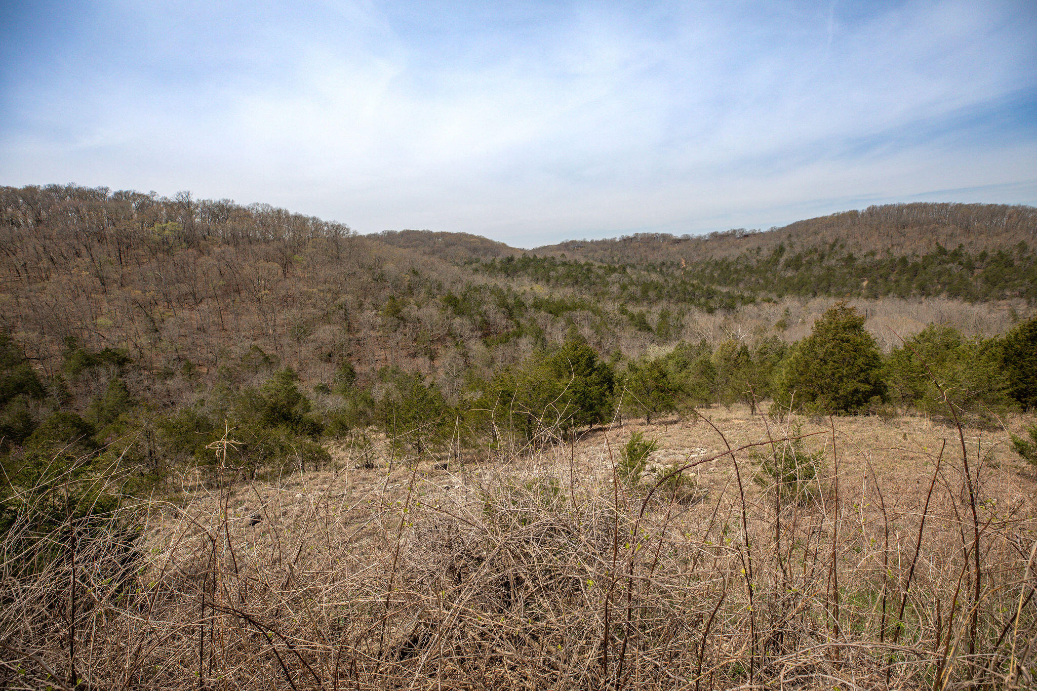 Lot 8 Silver Oak Place Property Photo 1