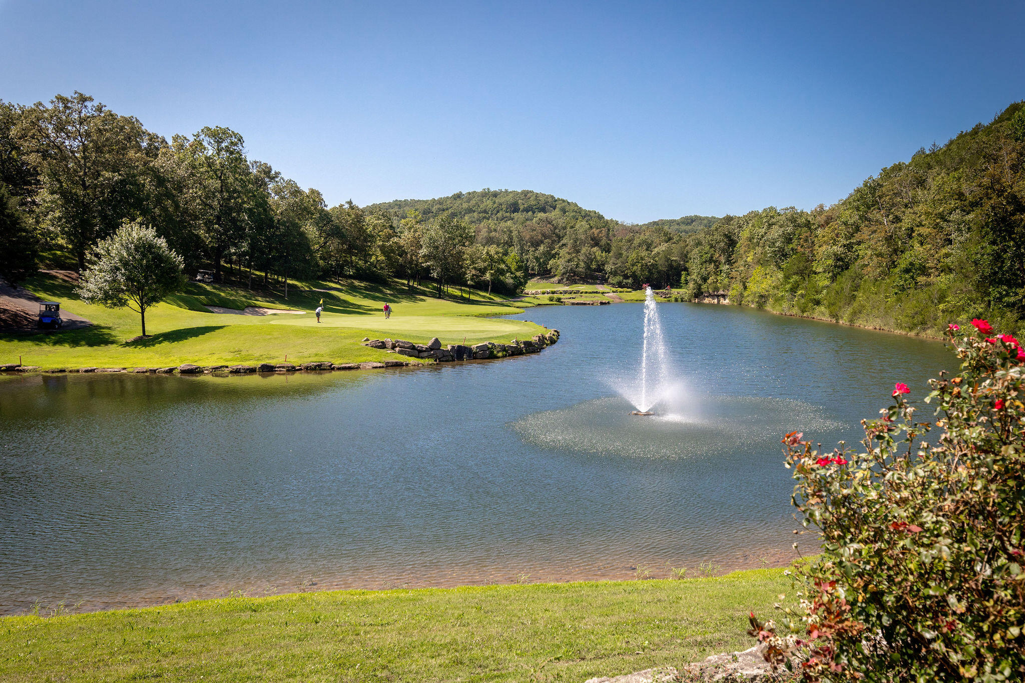 Lot 8 Silver Oak Place Property Photo 24