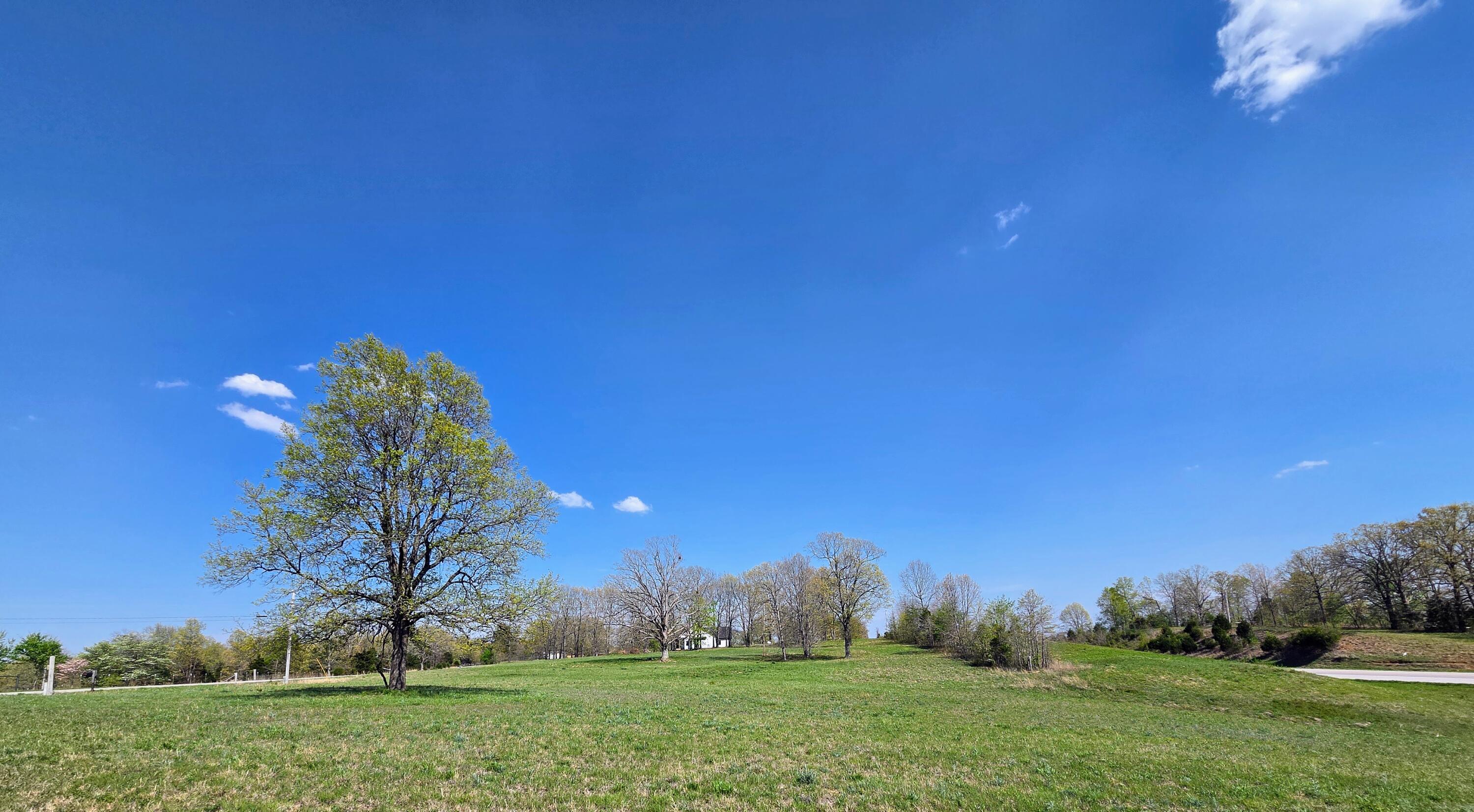 1814 County Road 364 Property Photo 15