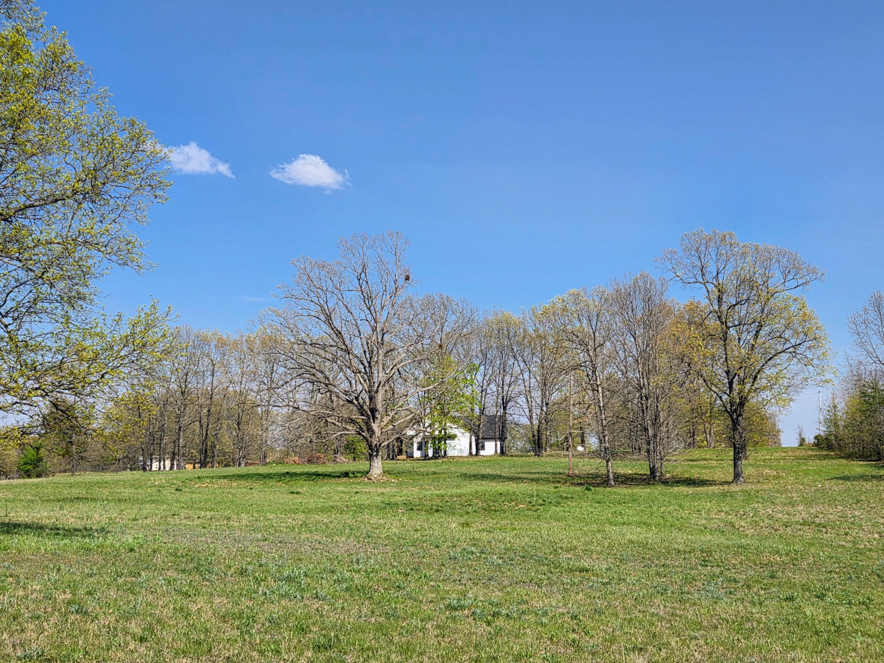 1814 County Road 364 Property Photo 16