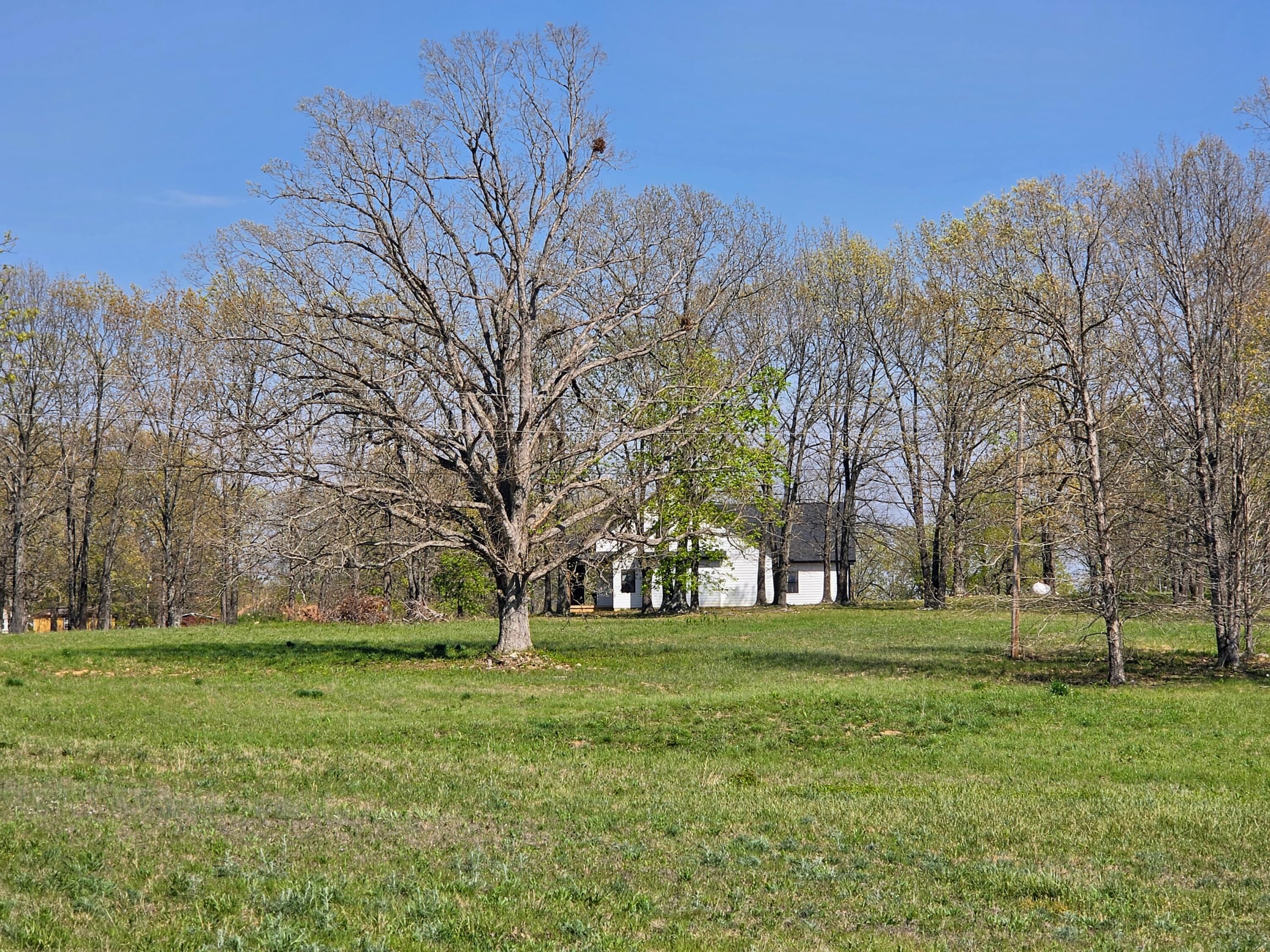 1814 County Road 364 Property Photo 17