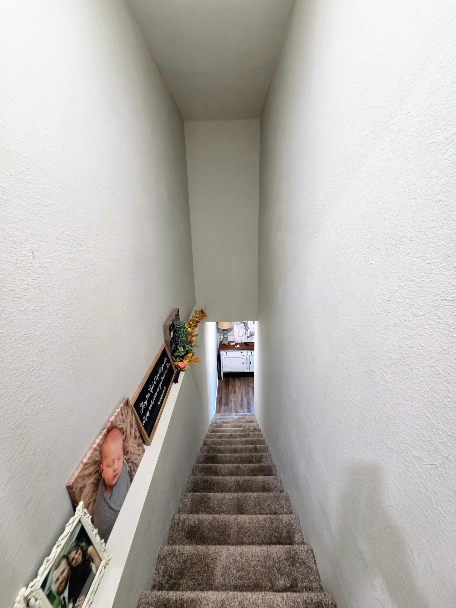 1814 County Road 364 Property Photo 43