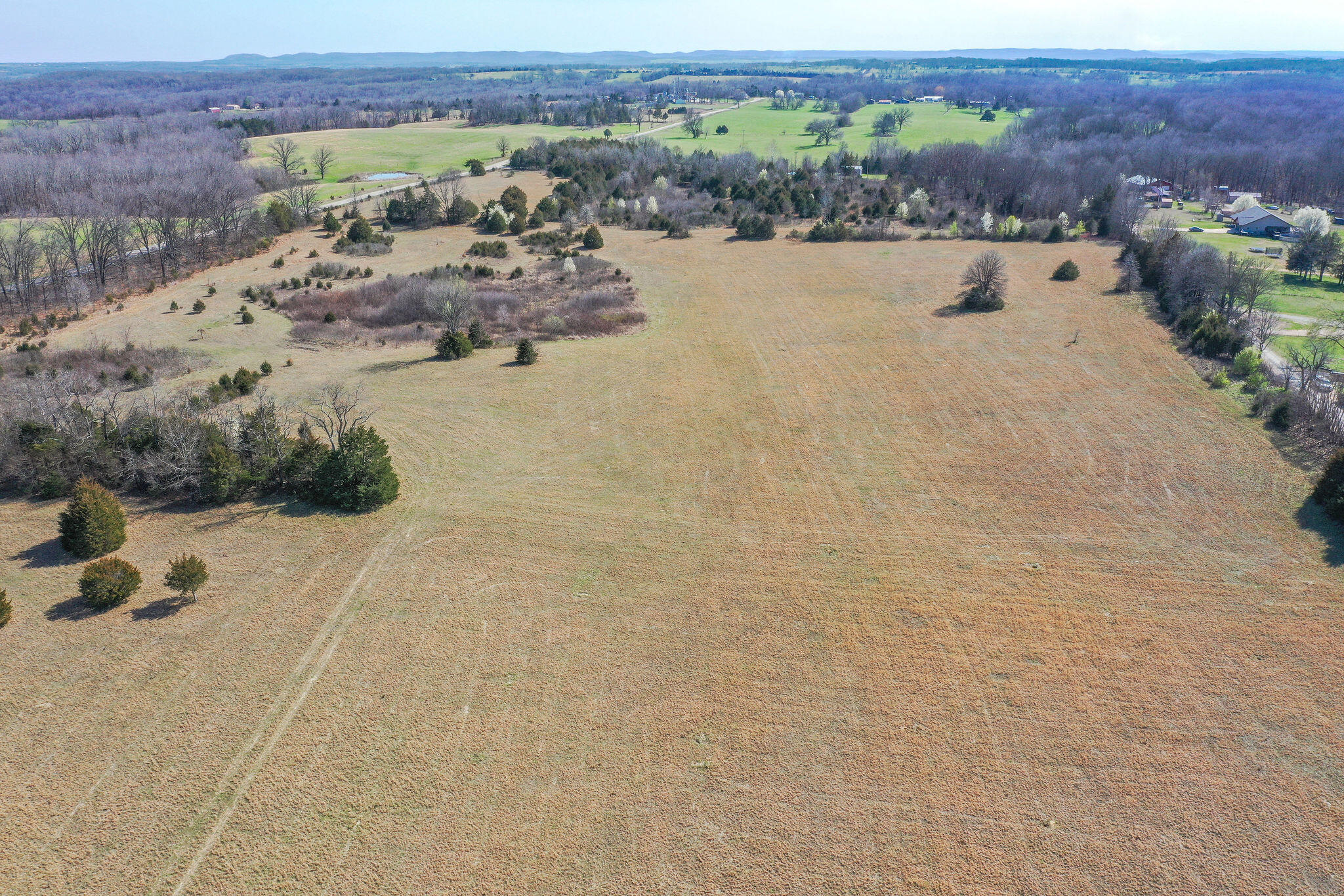 6738 County Road 429 Property Photo 8
