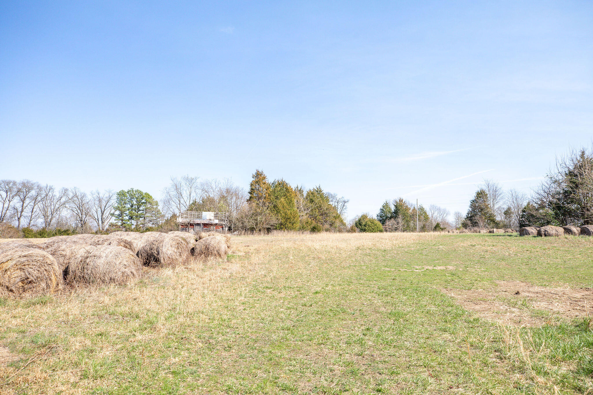 6738 County Road 429 Property Photo 17