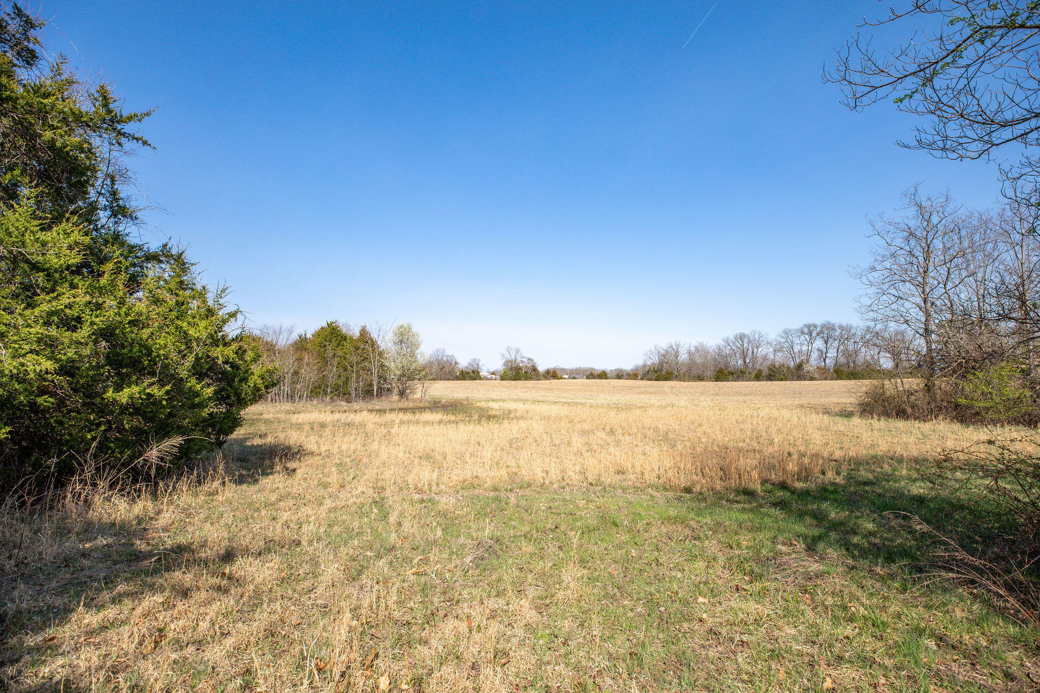 6738 County Road 429 Property Photo 18