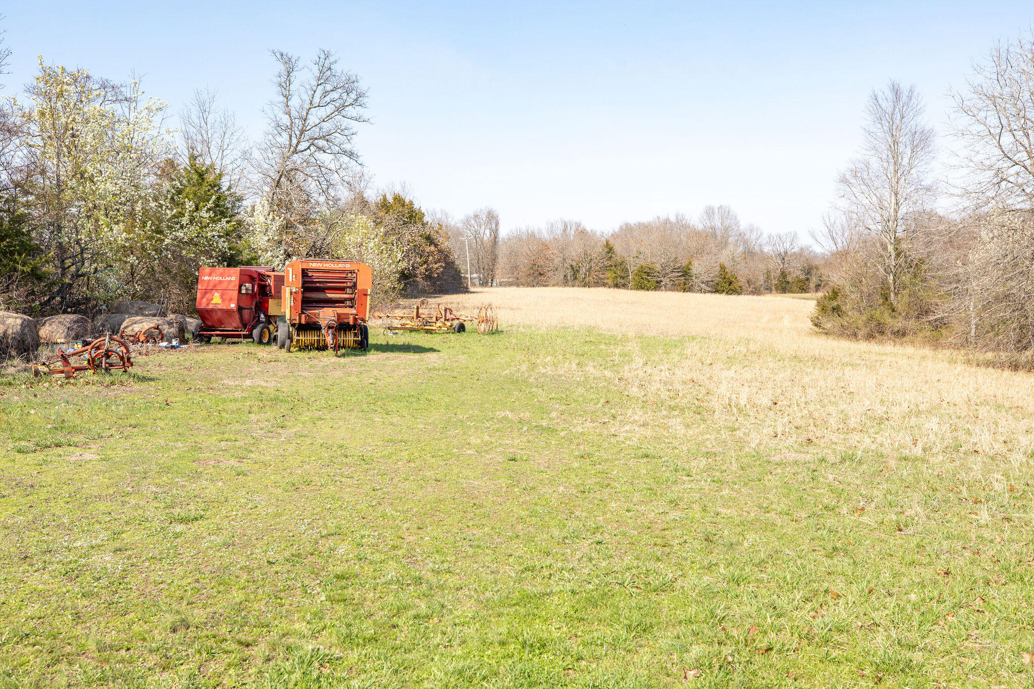 6738 County Road 429 Property Photo 19