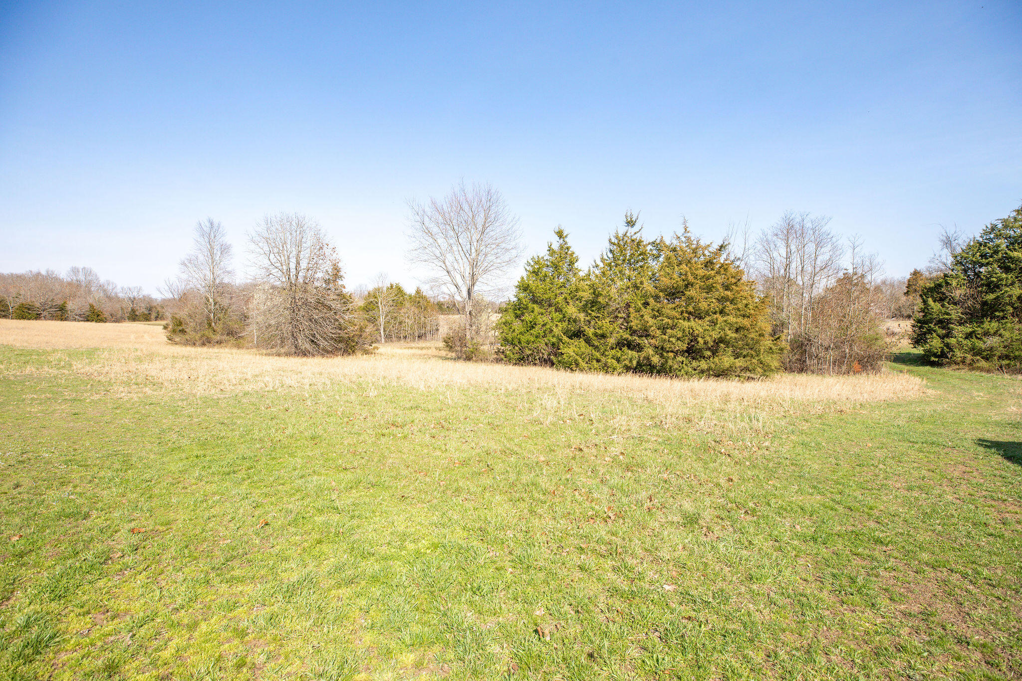 6738 County Road 429 Property Photo 20