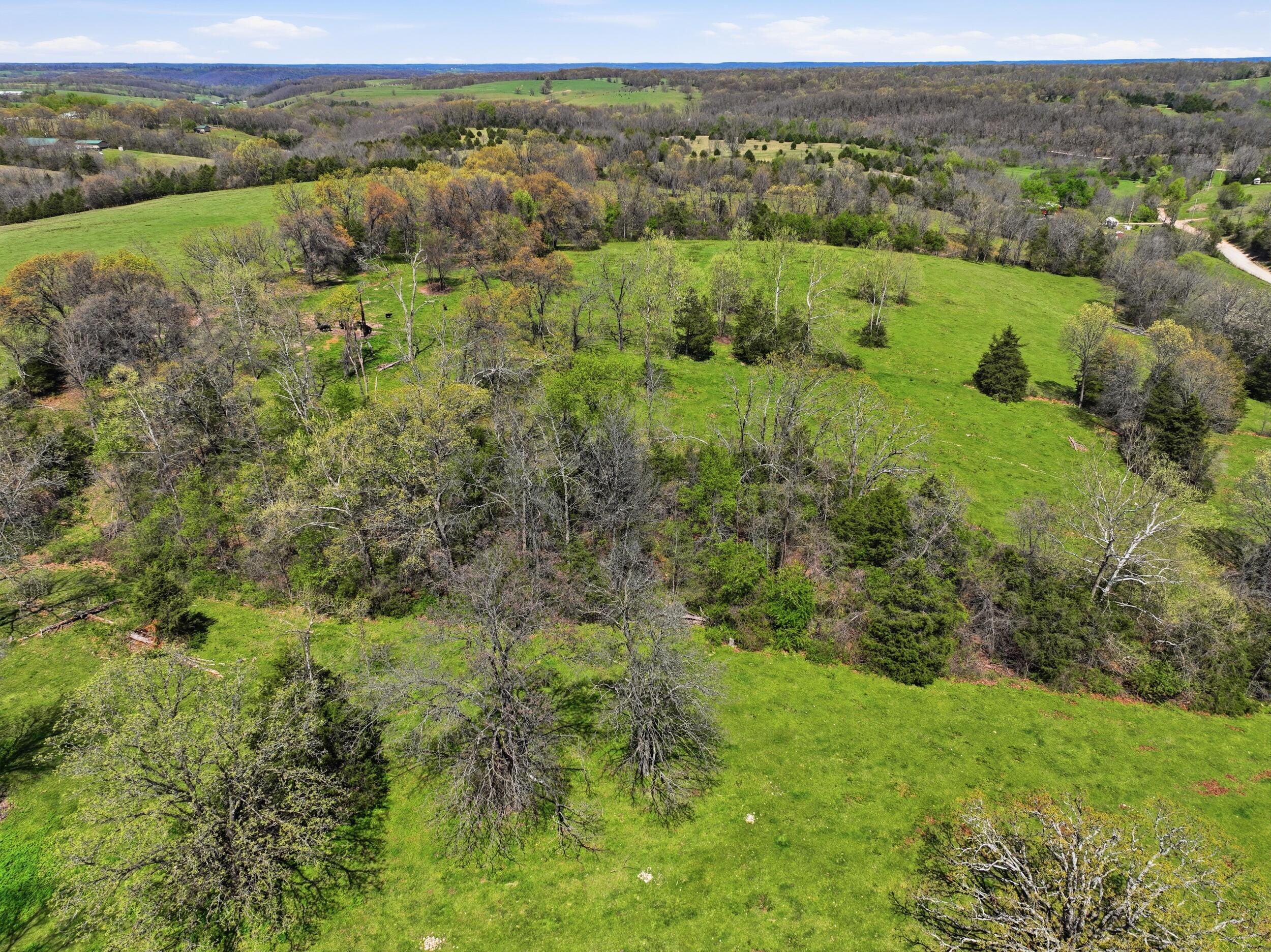 14489 Farm Road 1155 Property Photo 55