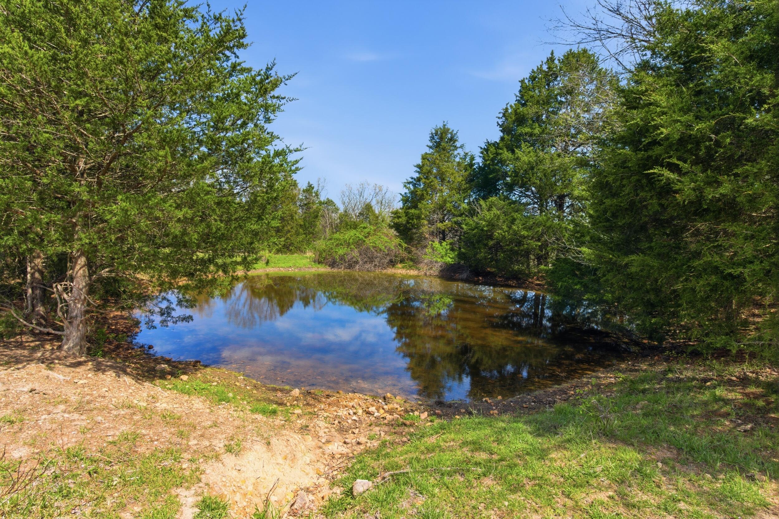 14489 Farm Road 1155 Property Photo 60
