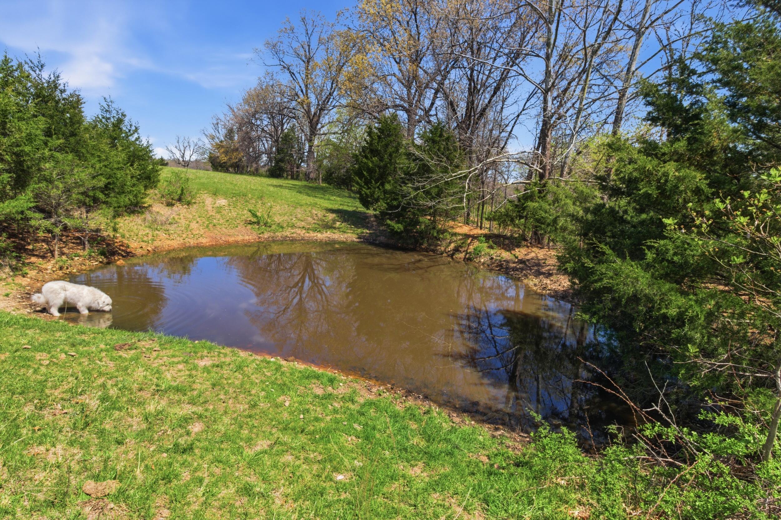 14489 Farm Road 1155 Property Photo 71