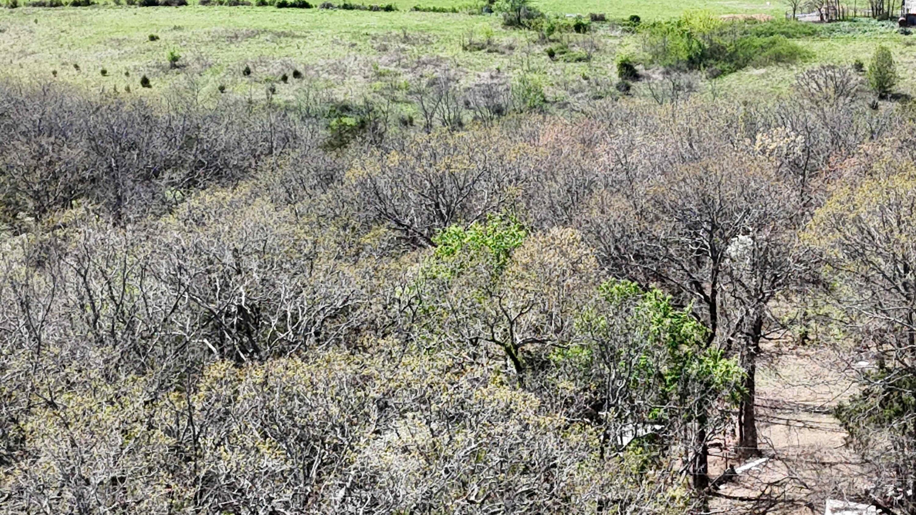 Lot #2 Coral Fountains Property Photo 4