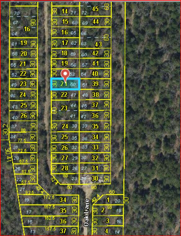 Lot #50 Gumbo Woods Property Photo 3