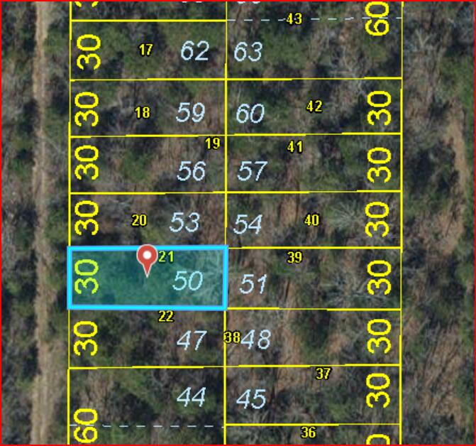 Lot #50 Gumbo Woods Property Photo 4