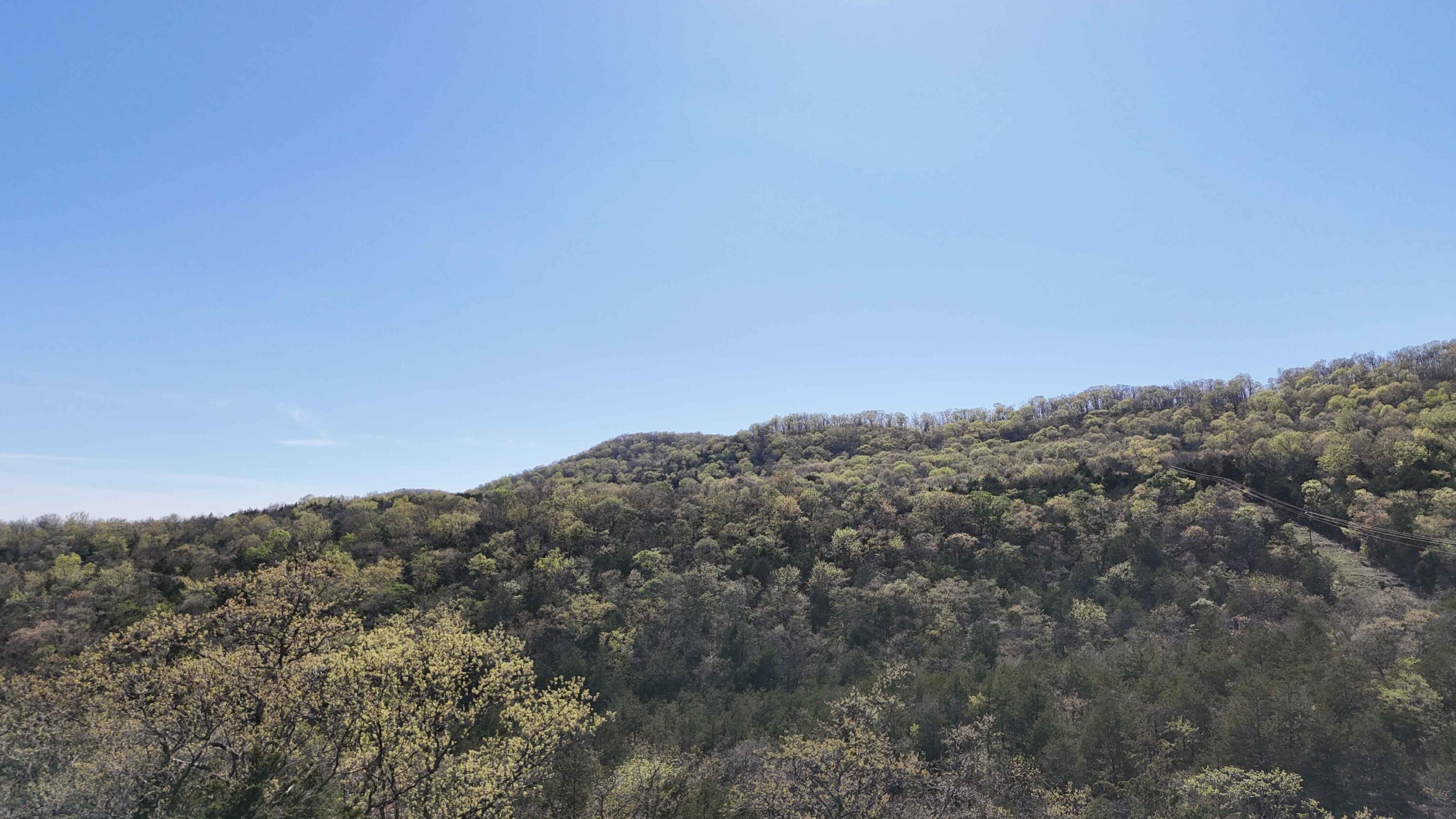 Lot #50 Gumbo Woods Property Photo 5