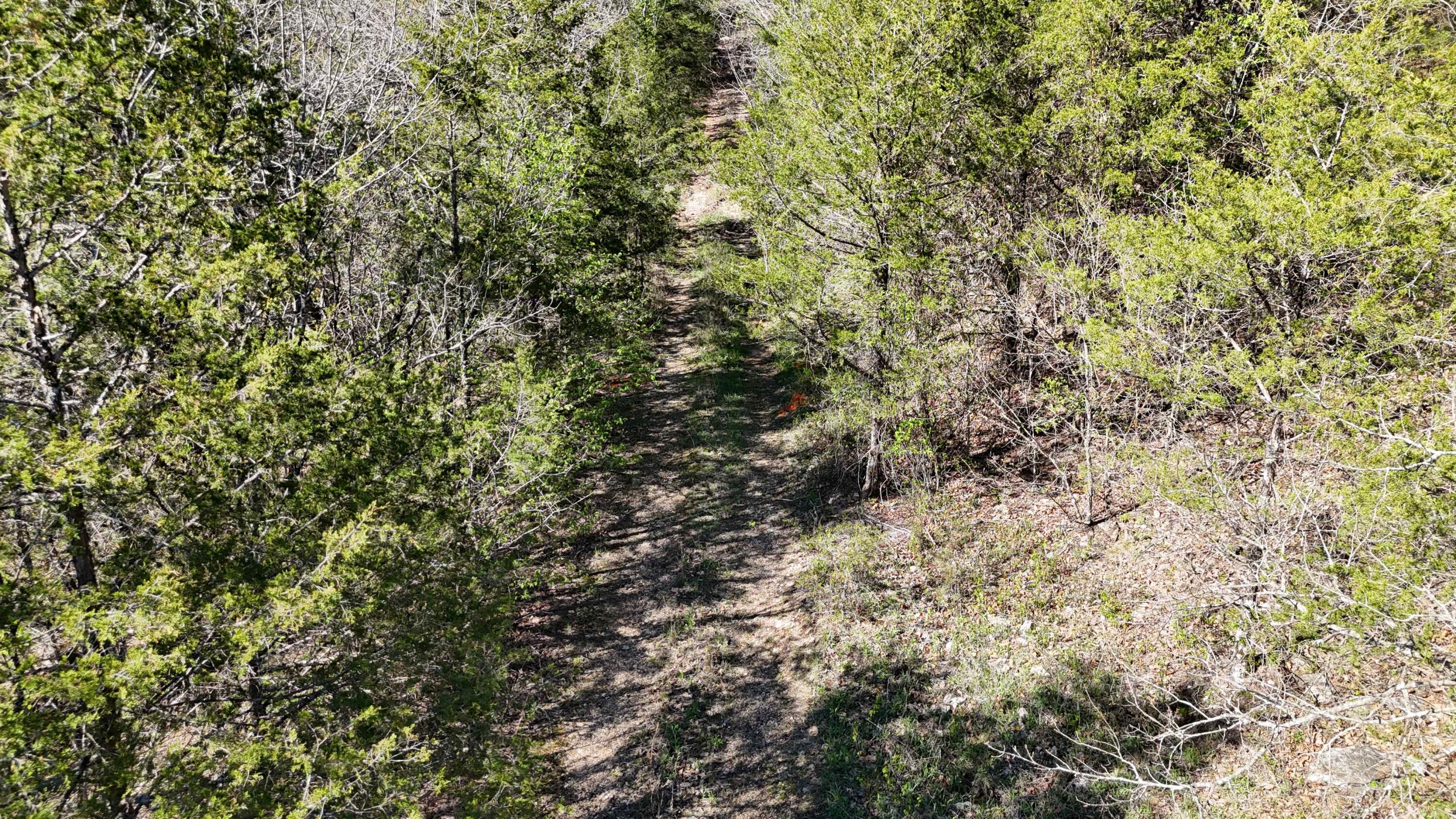 Lot #94 Gumbo Woods Property Photo 9